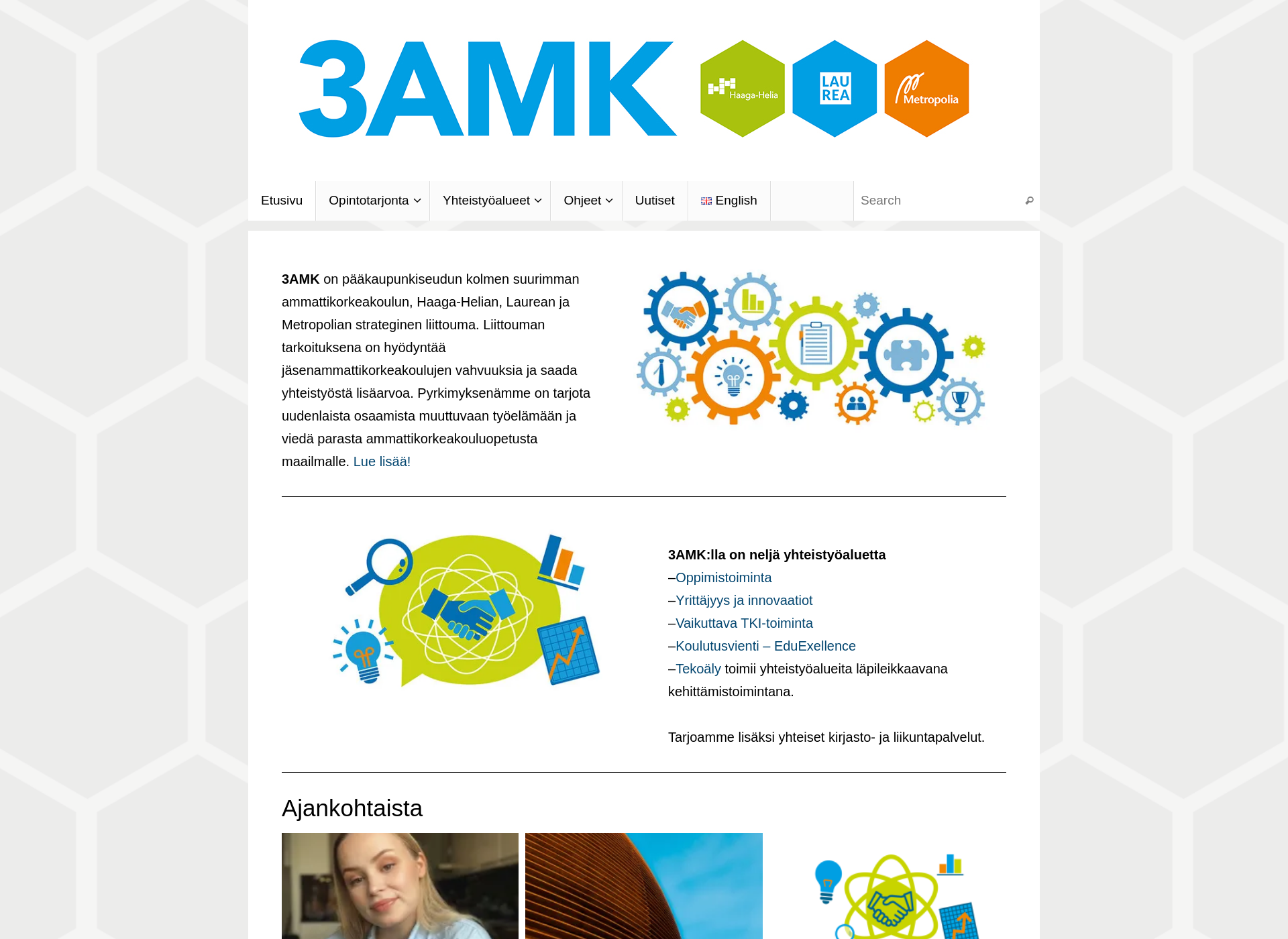 Skärmdump för 3amk.fi
