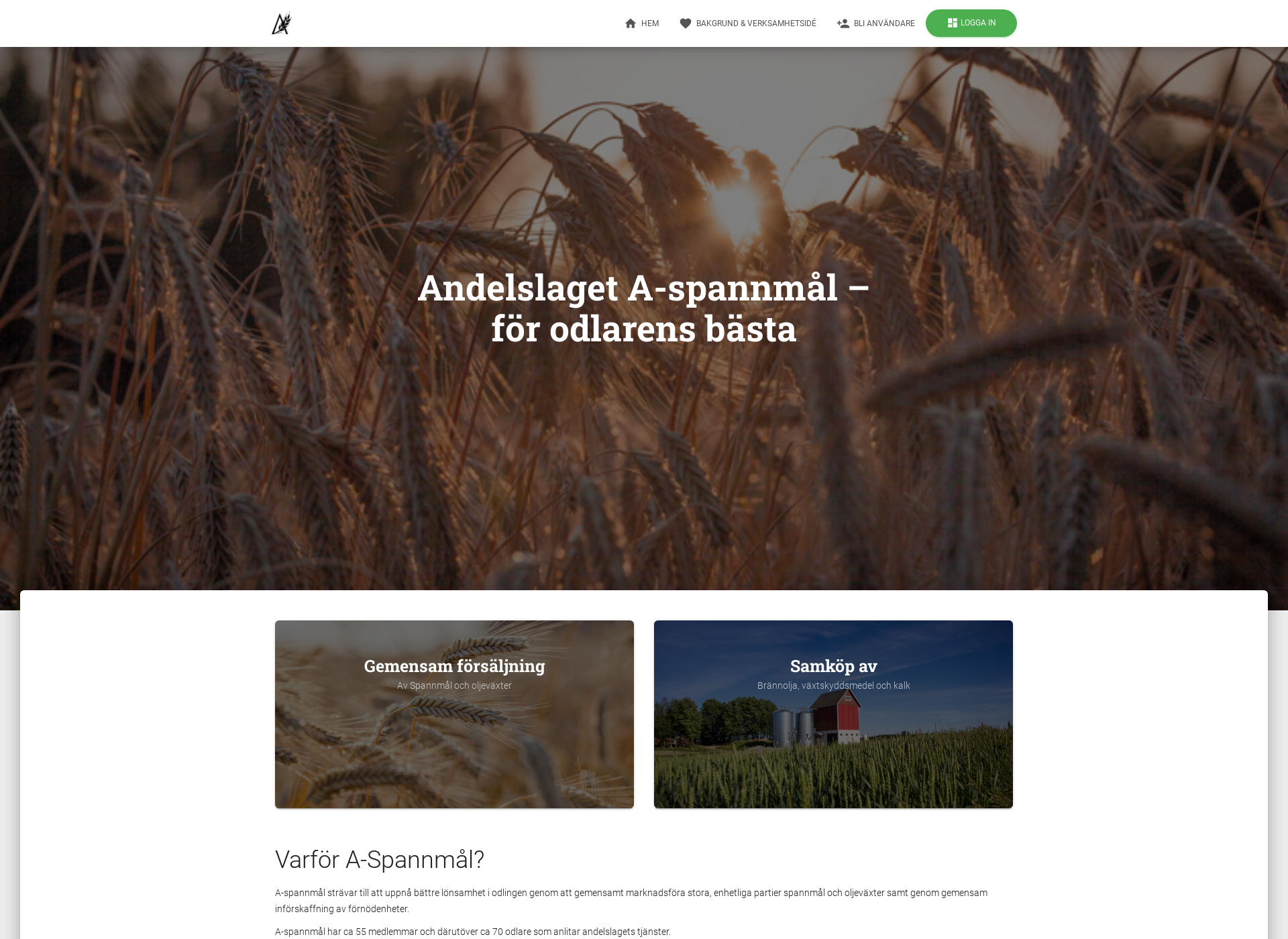 Screenshot for a-spannmal.fi