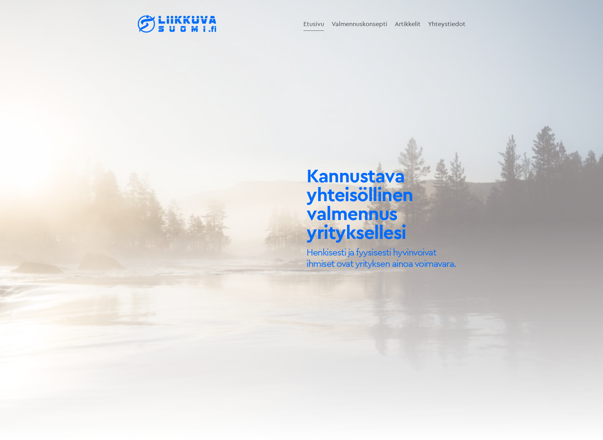 Skärmdump för a2finland.fi