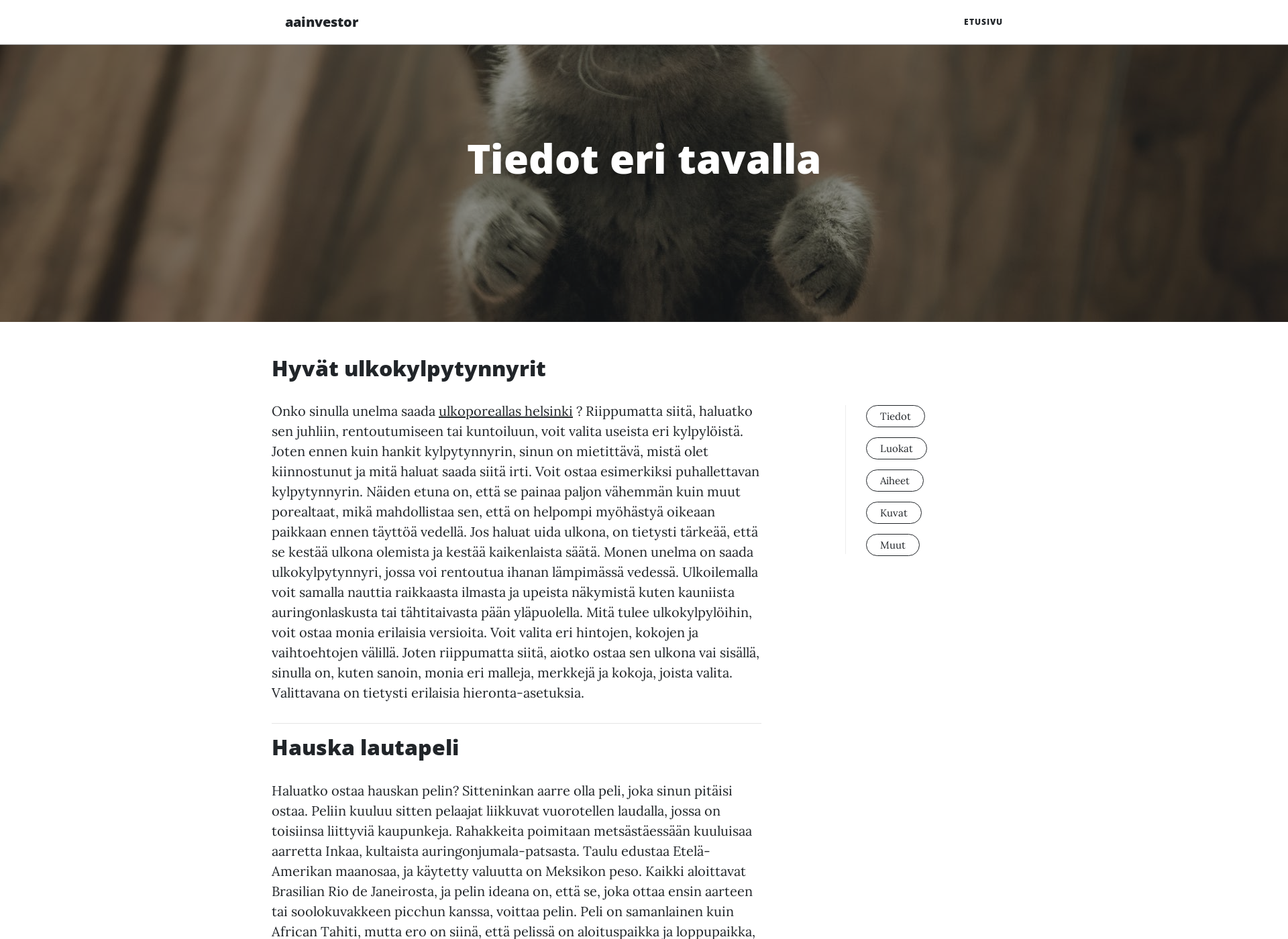 Näyttökuva aainvestors.fi