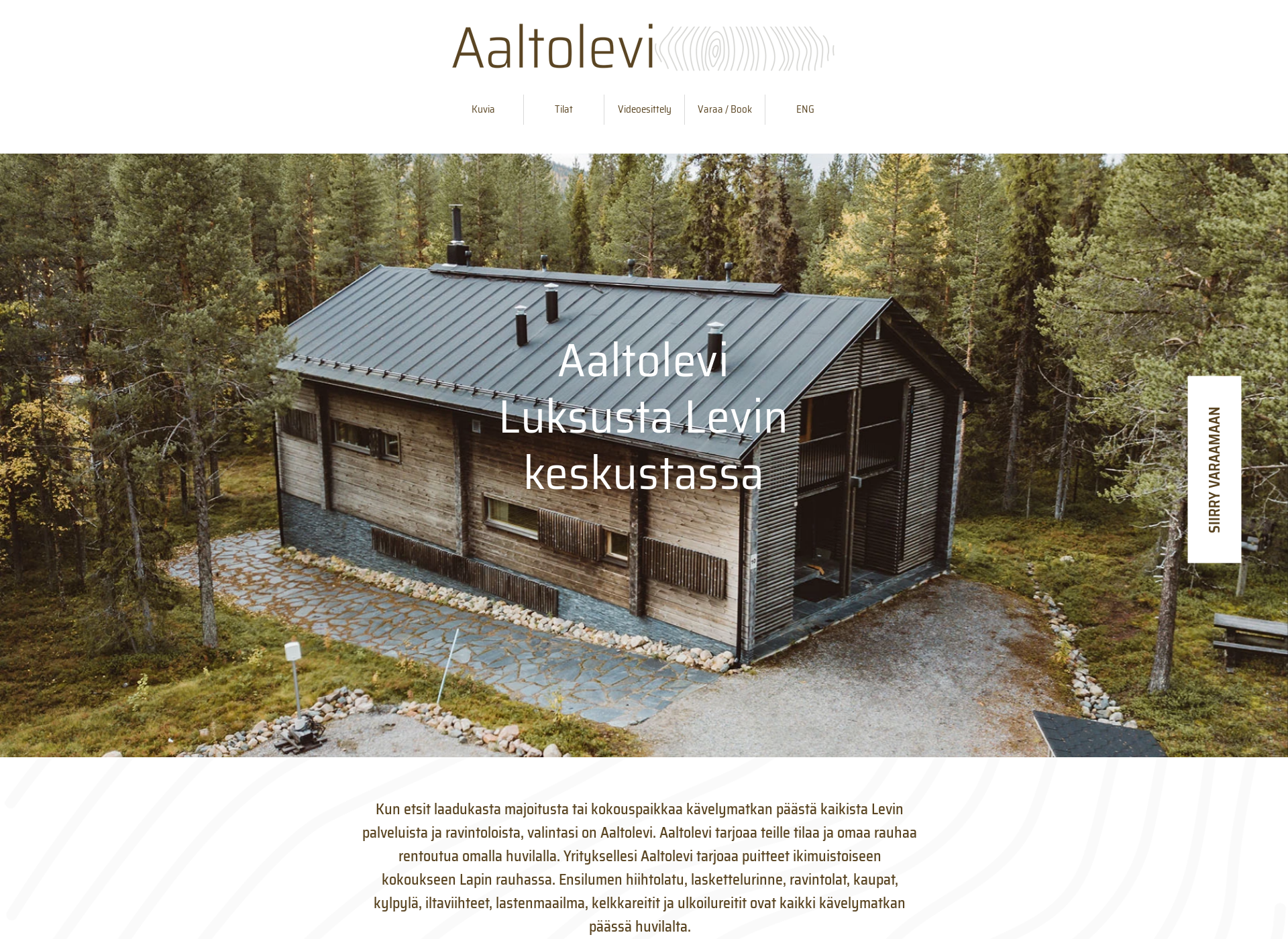 Skärmdump för aaltolevi.fi