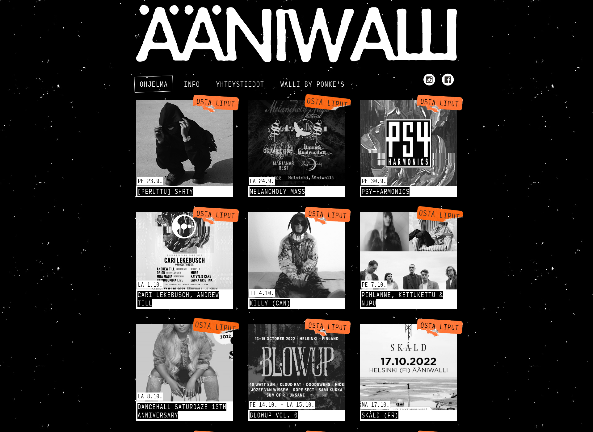 Screenshot for aaniwalli.fi