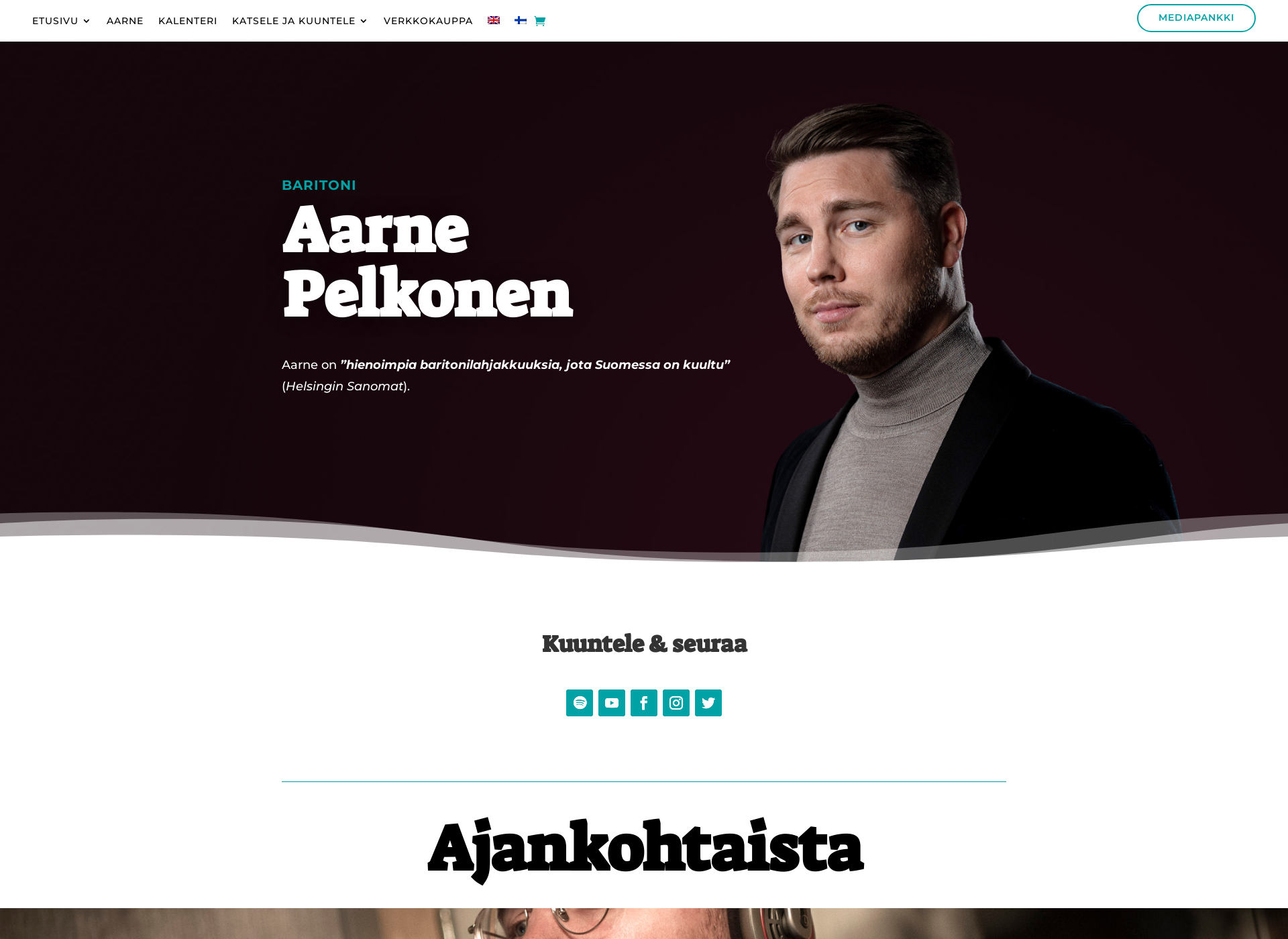 Skärmdump för aarnepelkonen.fi
