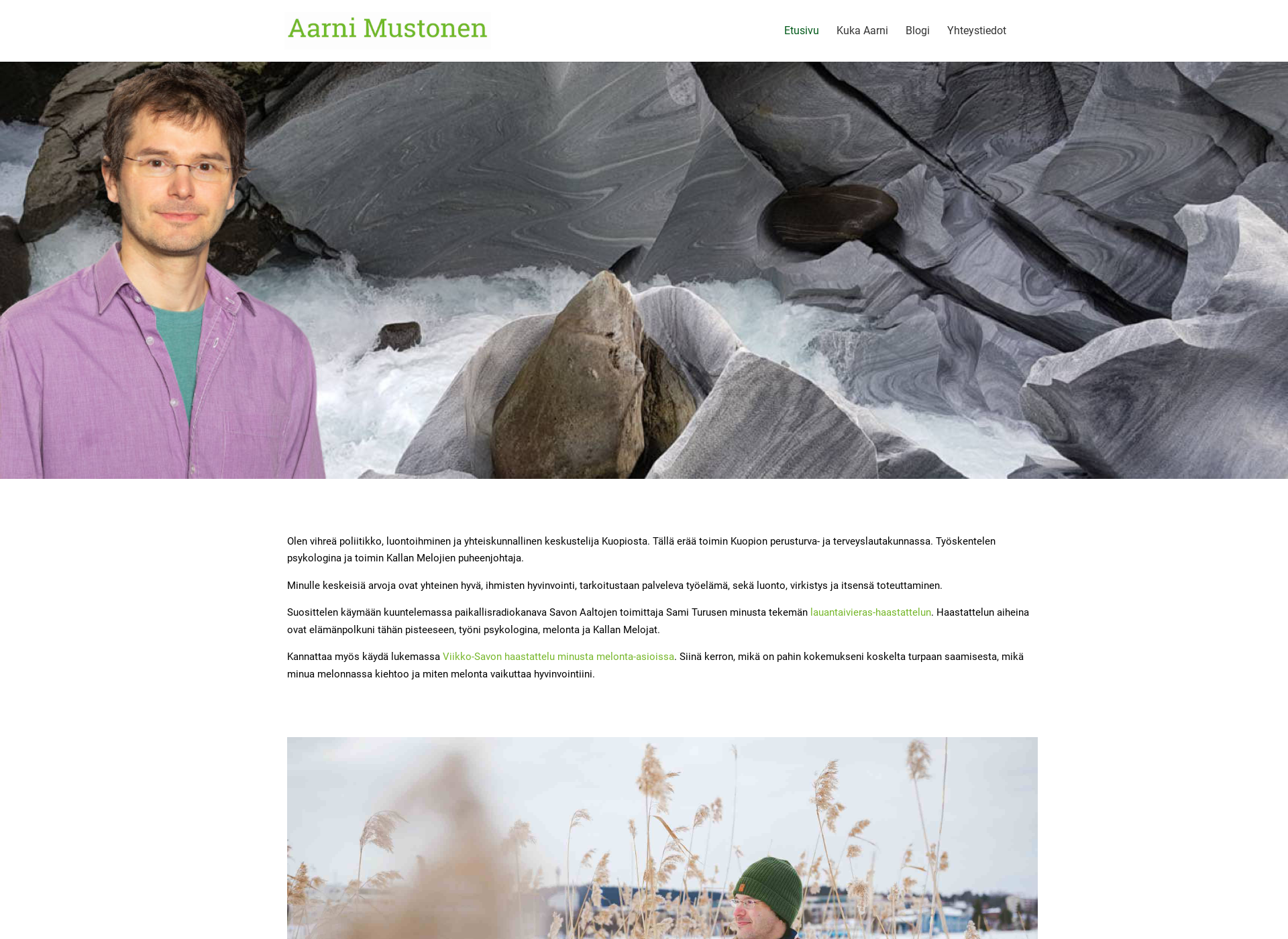 Screenshot for aarnimustonen.fi