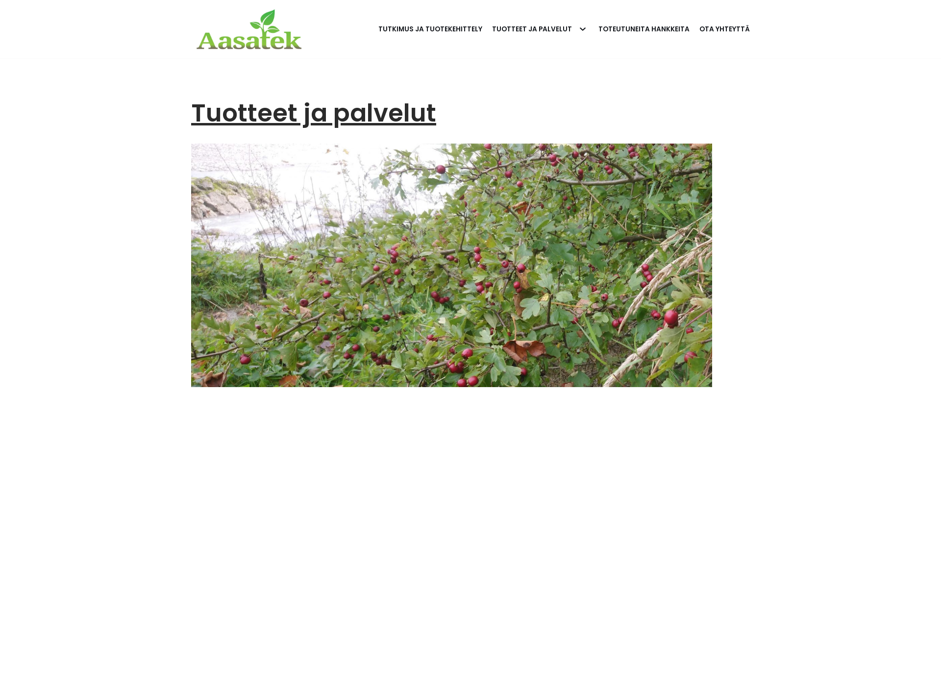 Screenshot for aasatek.fi