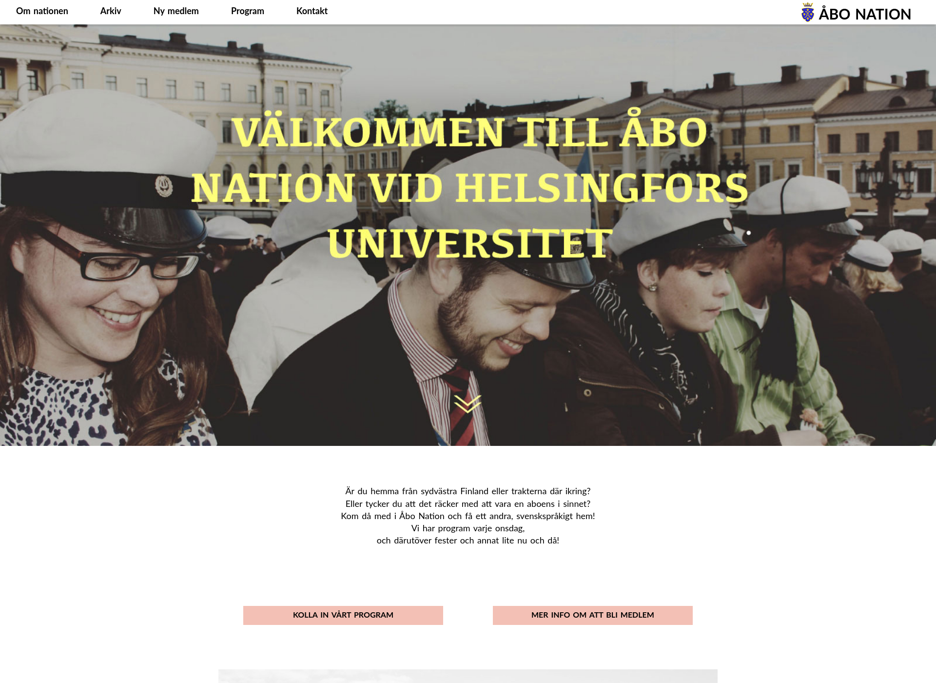 Screenshot for abonation.fi