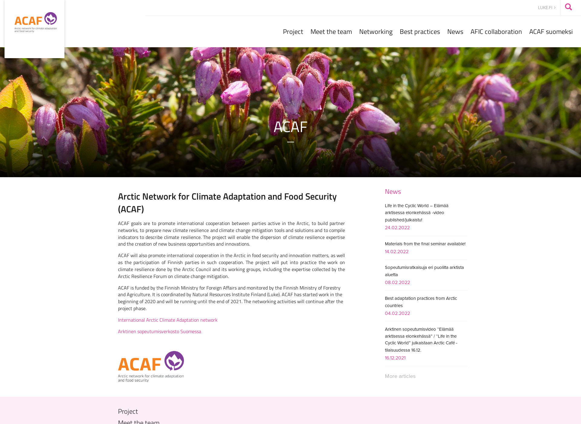 Screenshot for acaf.fi