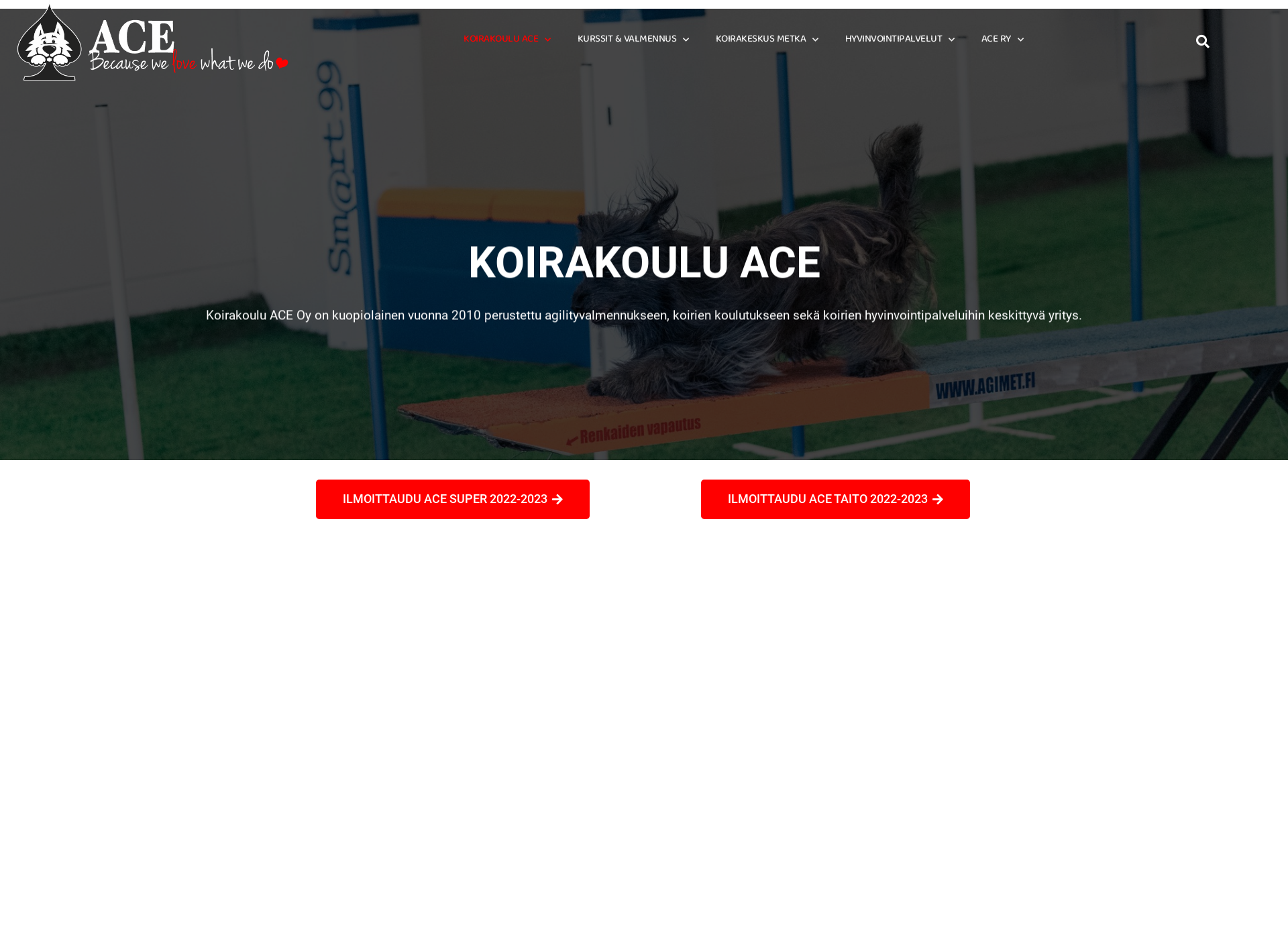 Skärmdump för ace-agility.fi