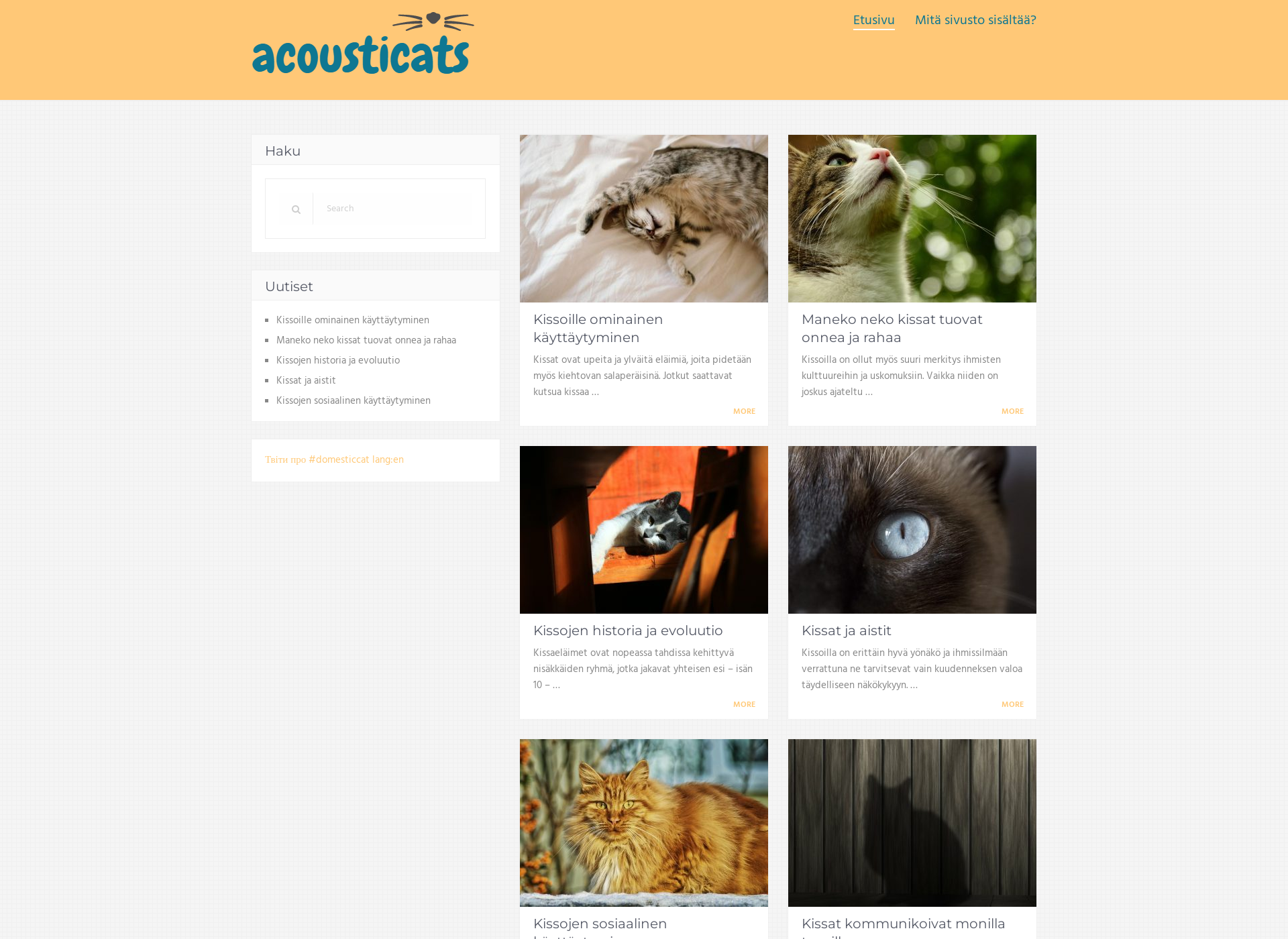 Screenshot for acousticats.fi