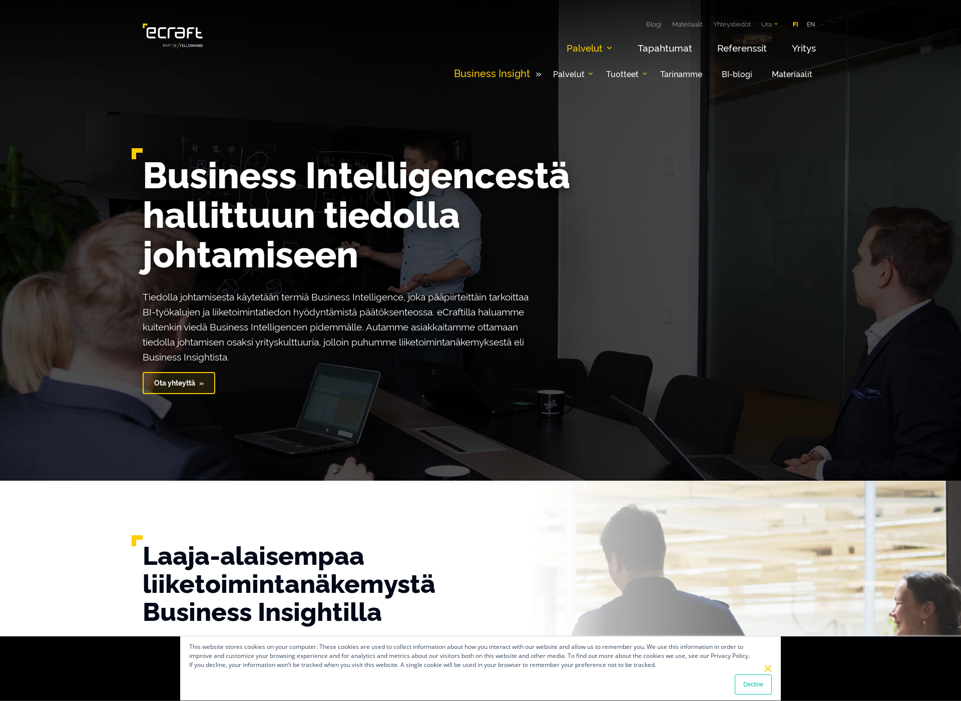 Näyttökuva adaptiveinsights.fi