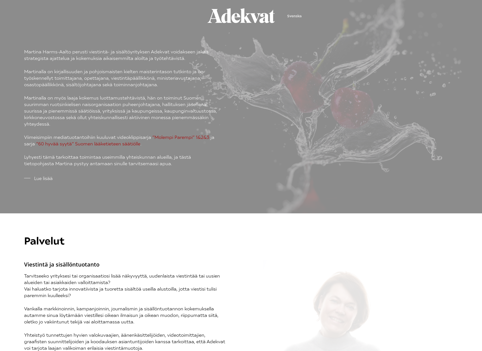 Screenshot for adekvat.fi