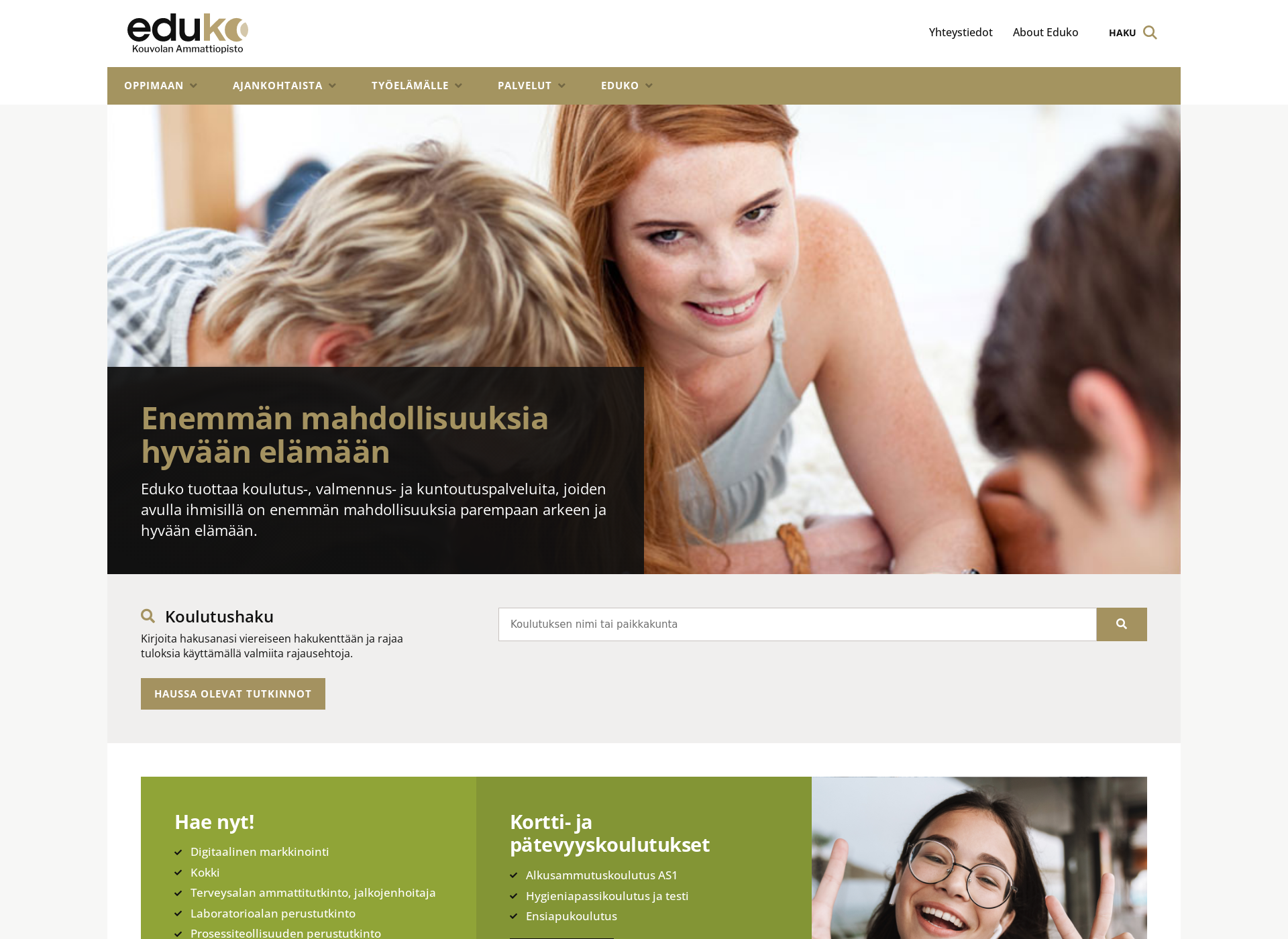 Screenshot for adulteducation.fi