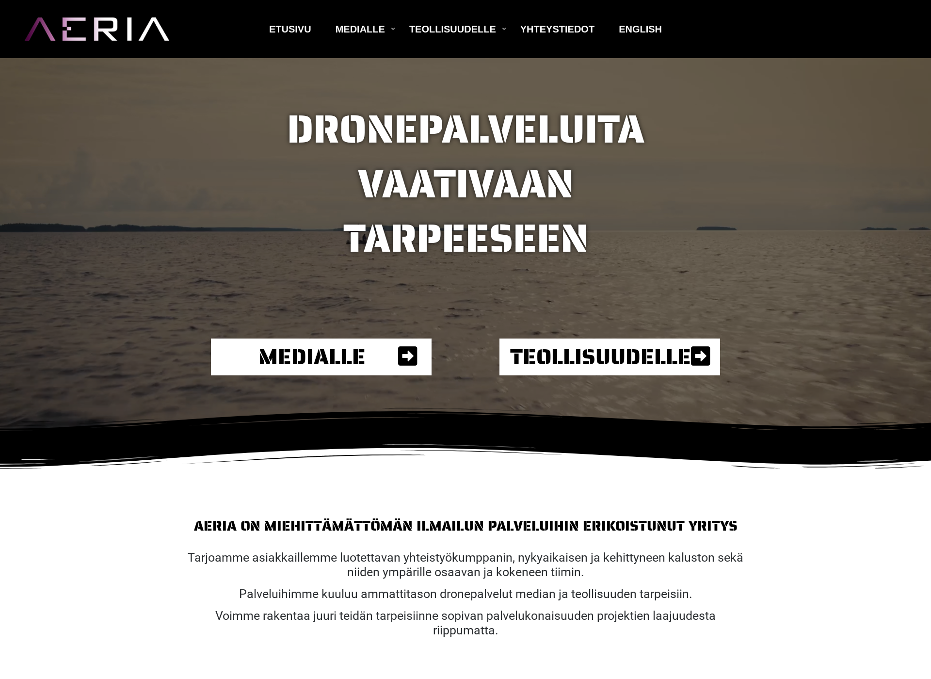 Skärmdump för aeria.fi