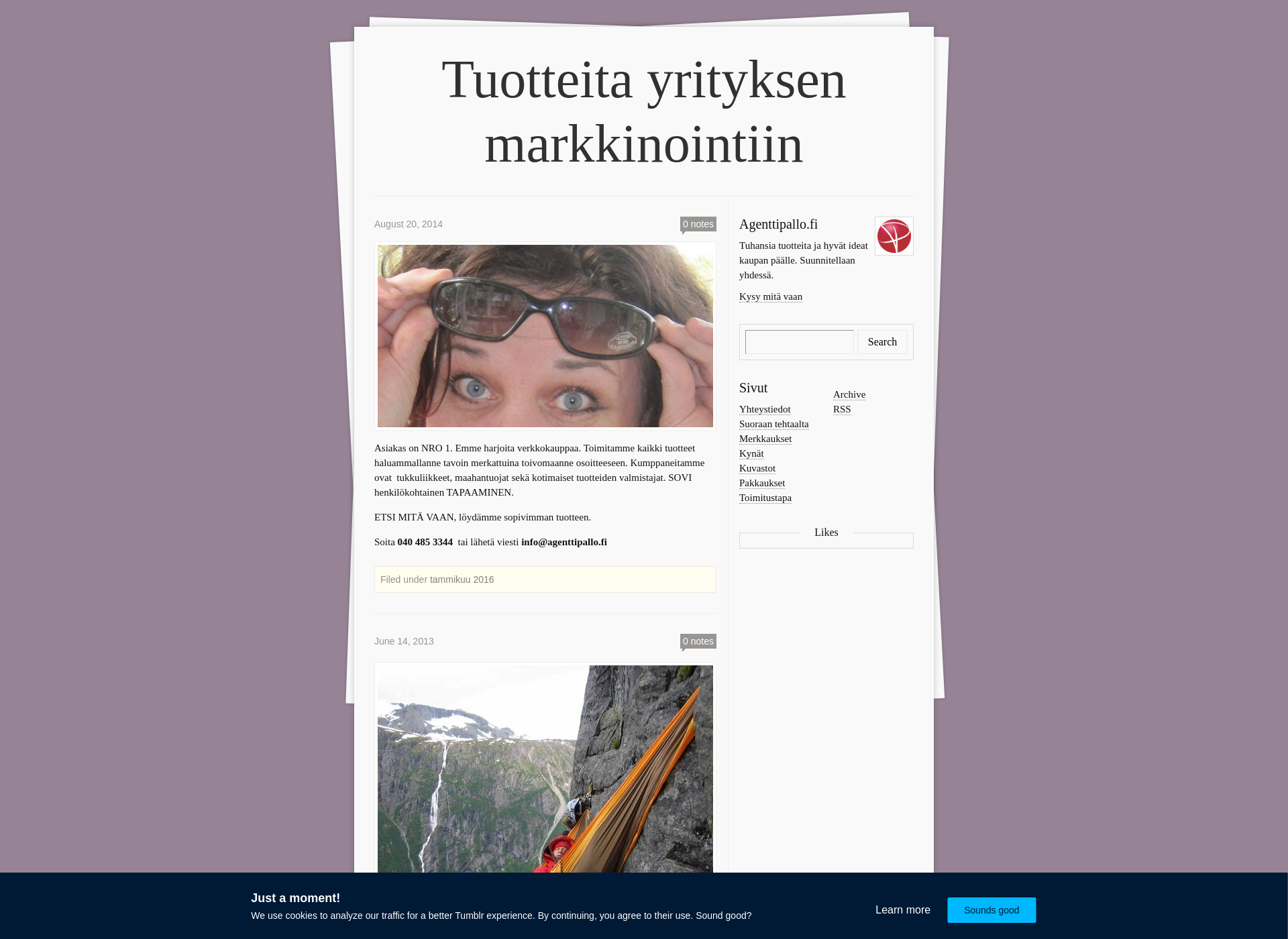 Skärmdump för agenttipallo.fi