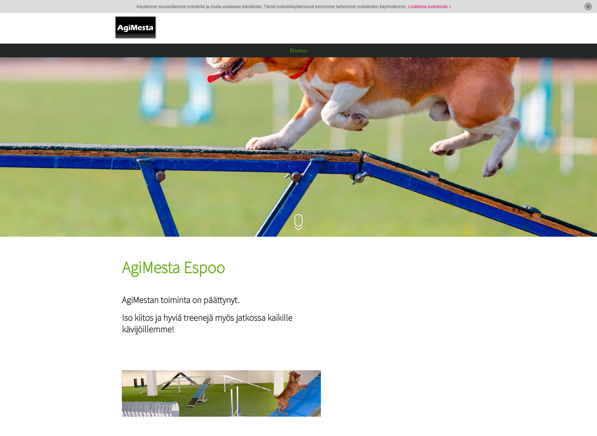 Screenshot for agimesta.fi