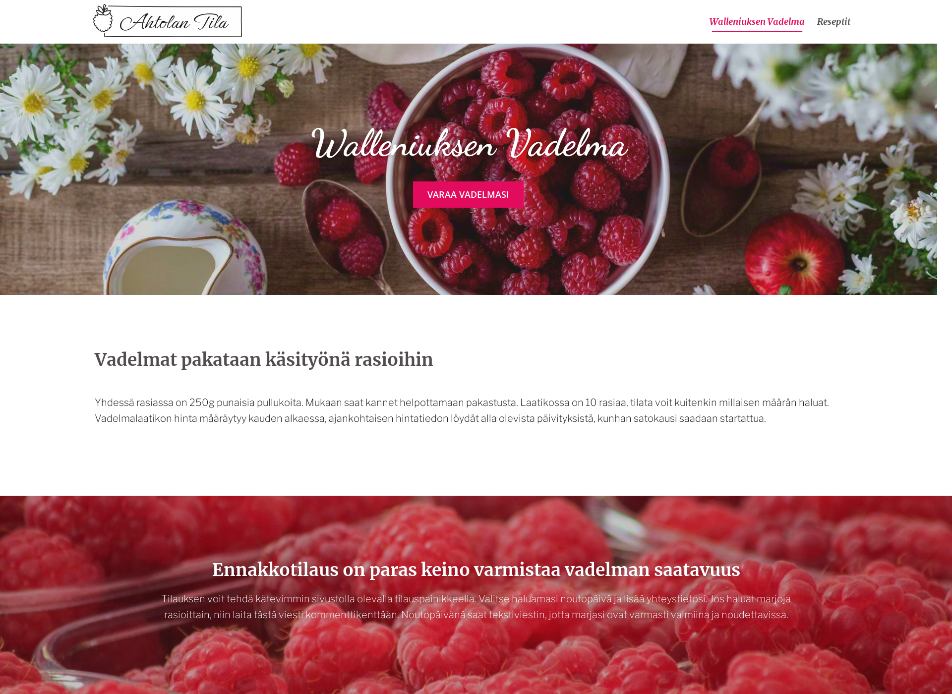 Screenshot for ahtolantila.fi