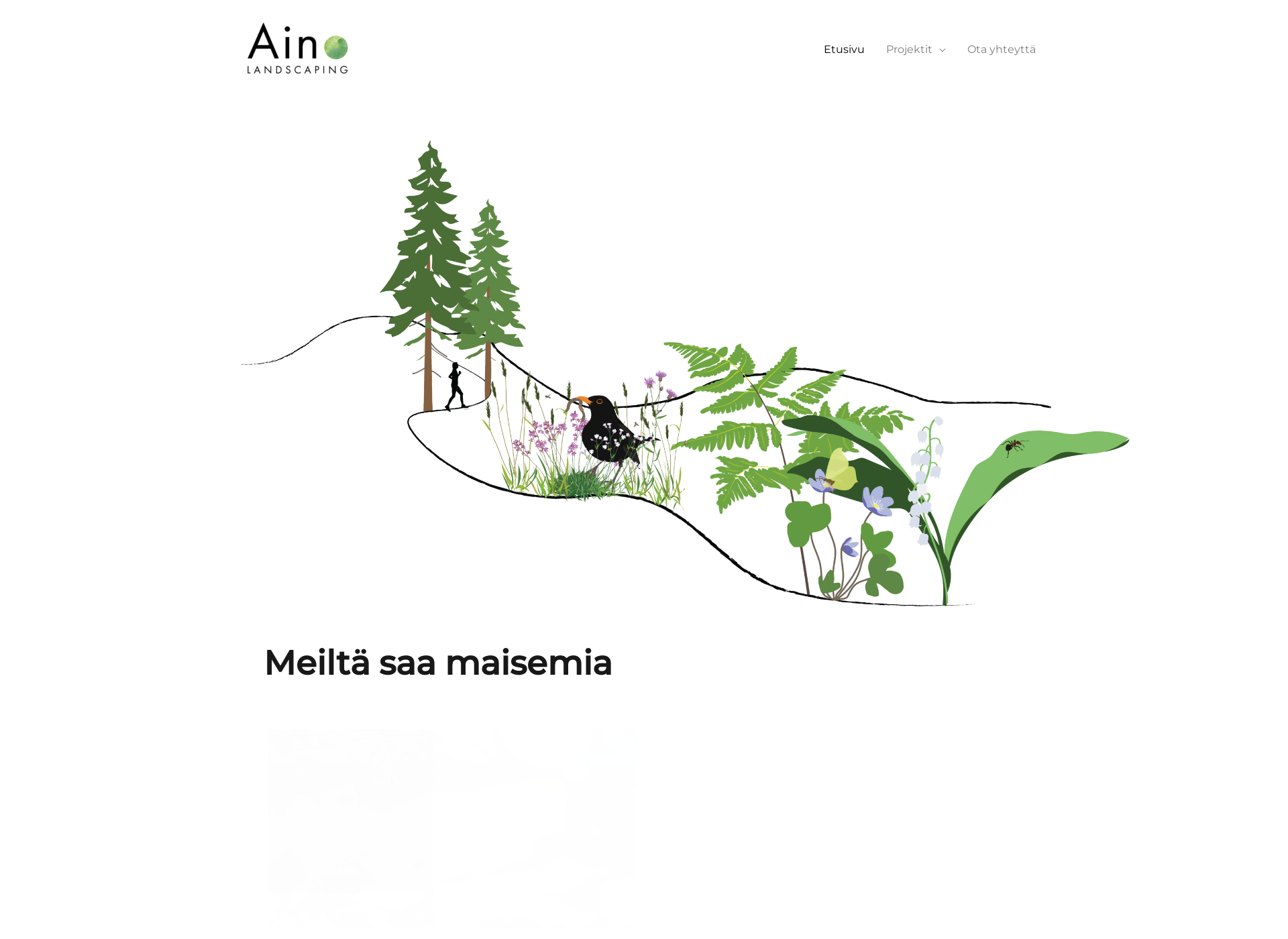 Screenshot for ainolandscaping.fi