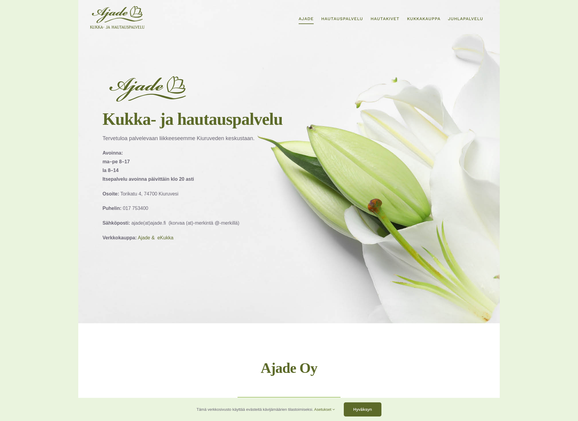 Screenshot for ajade.fi