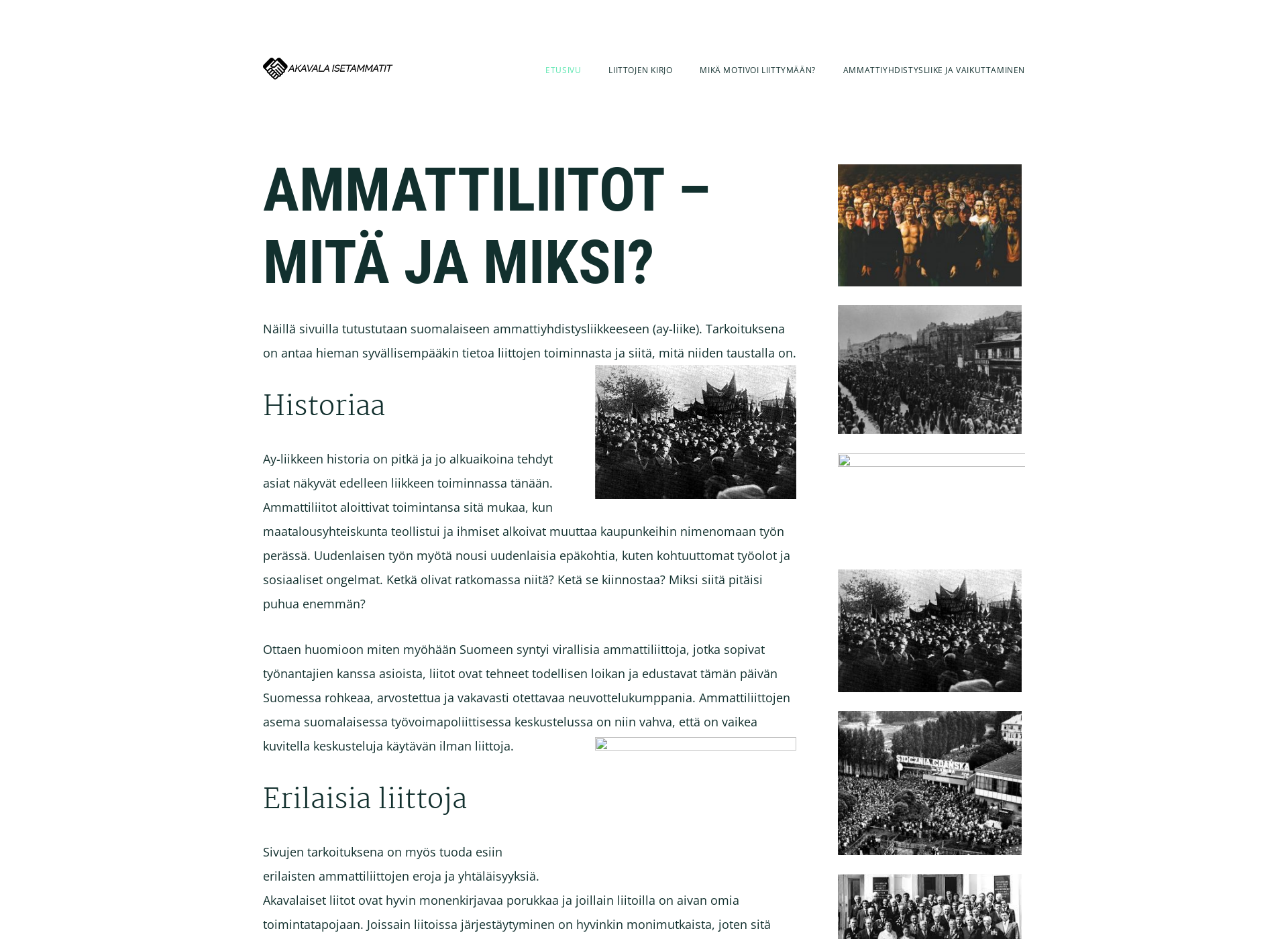 Skärmdump för akavalaisetammatit.fi