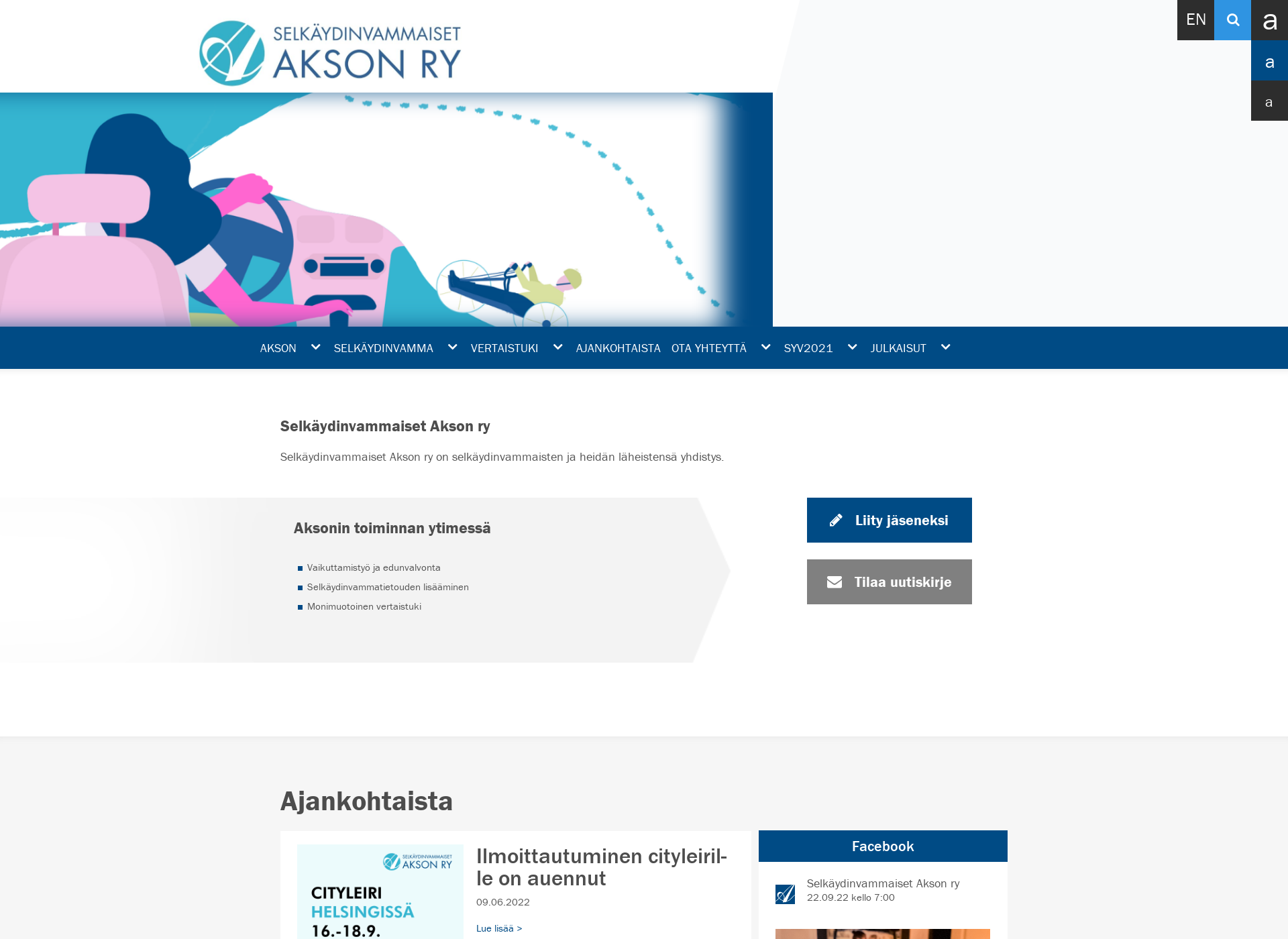 Screenshot for aksonry.fi