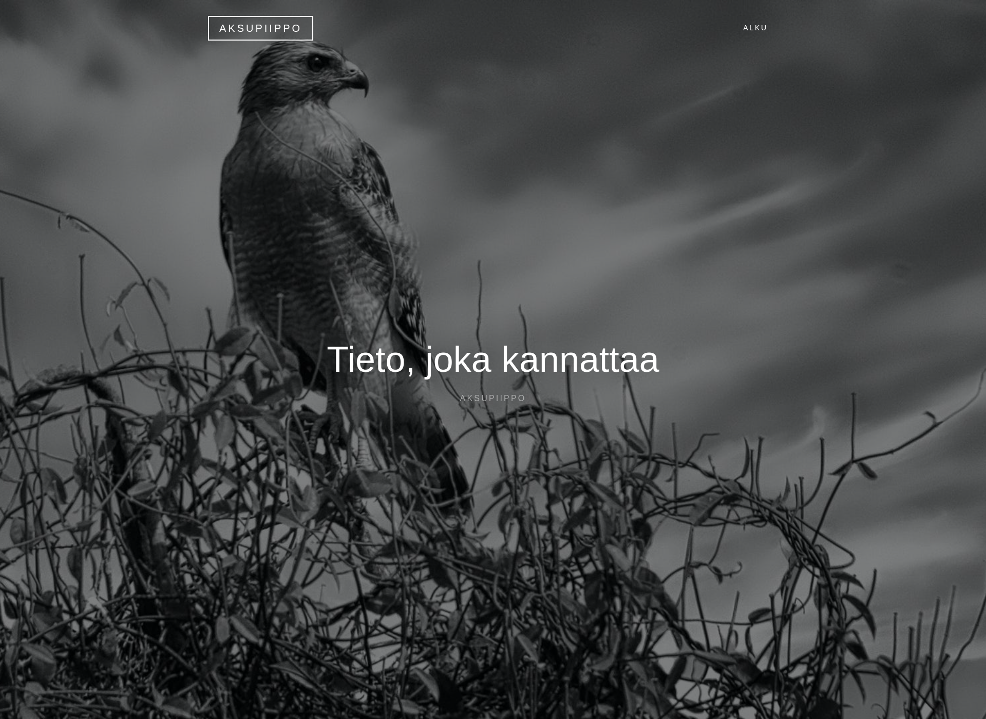 Screenshot for aksupiippo.fi