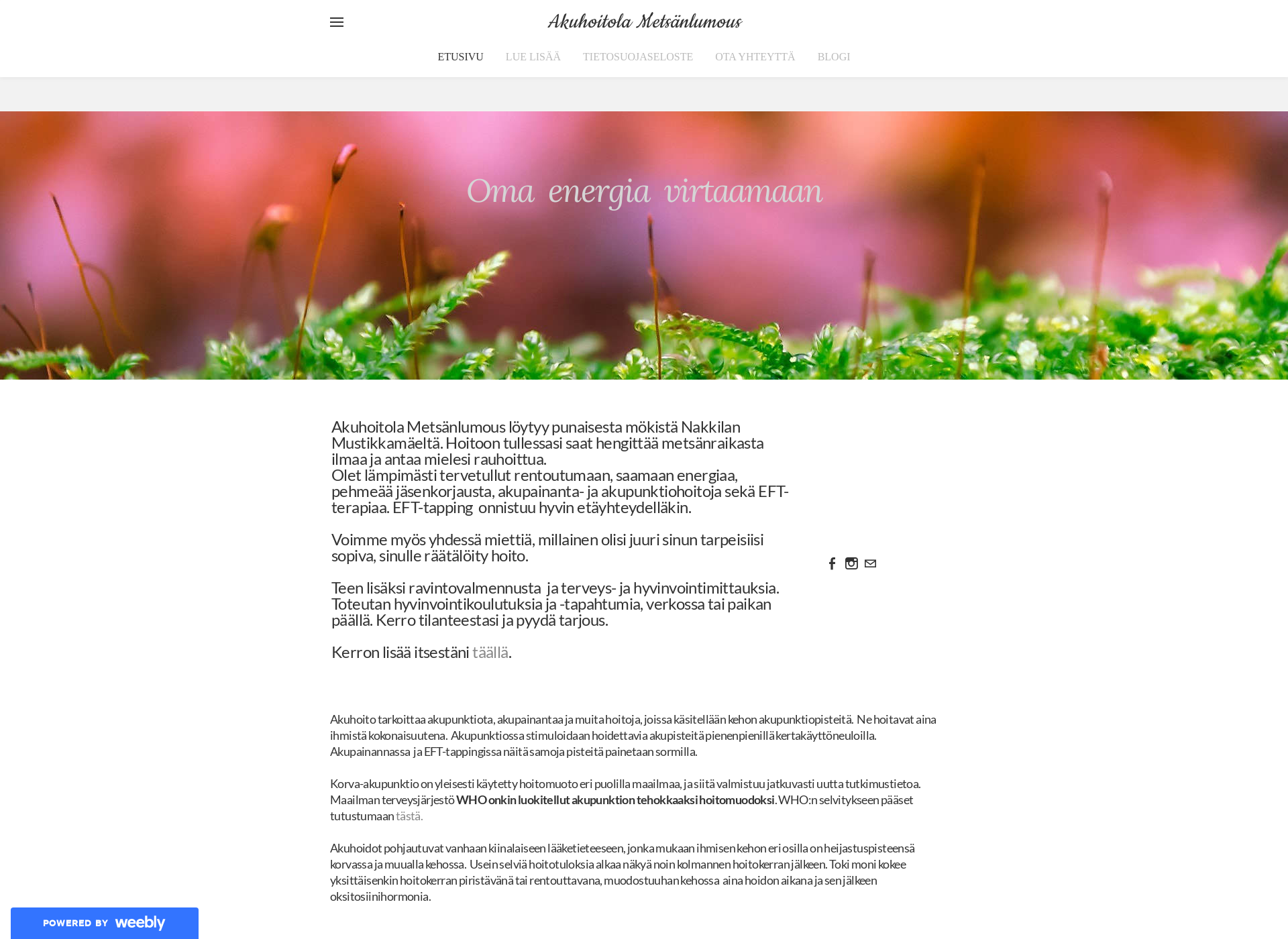 Skärmdump för akuhoitola.fi