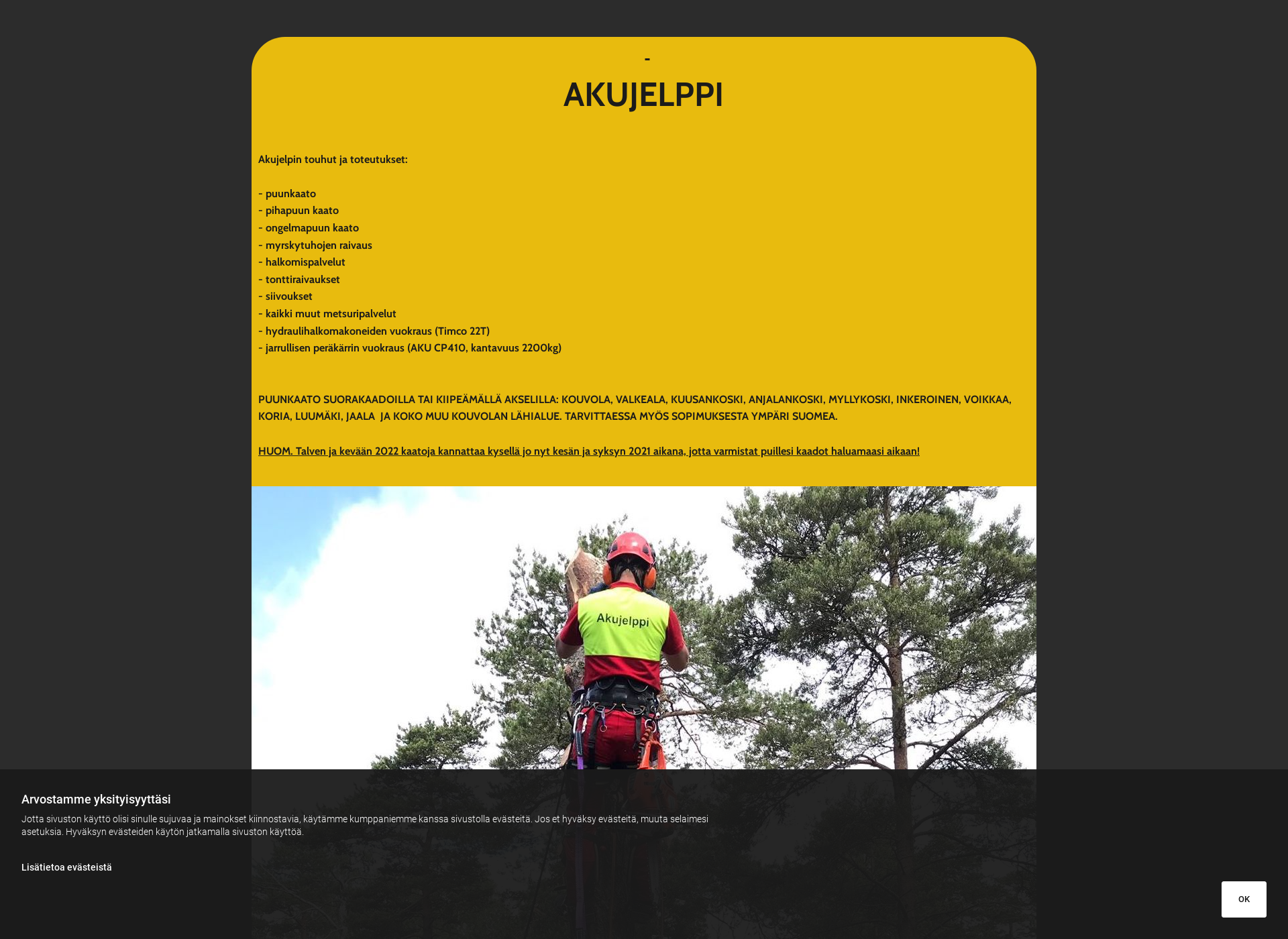 Screenshot for akujelppi.fi
