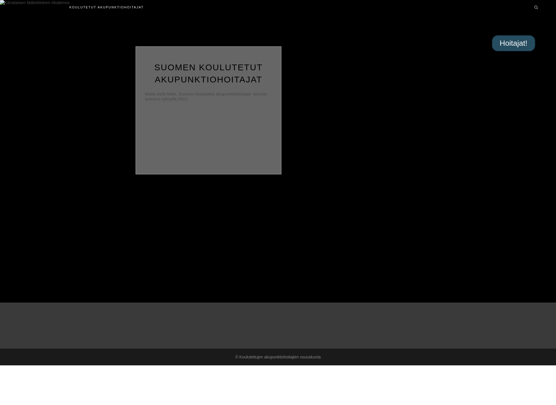 Screenshot for akupunktiohoitajat.fi