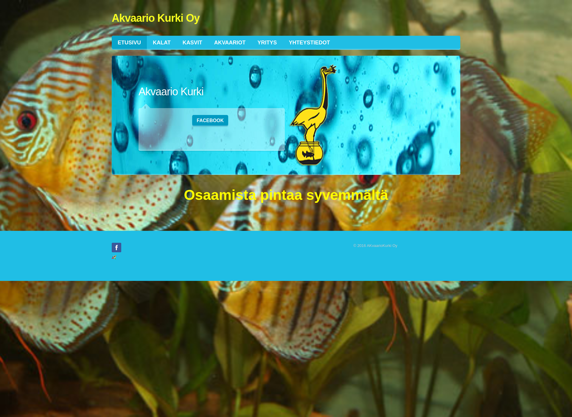 Screenshot for akvaariokurki.fi