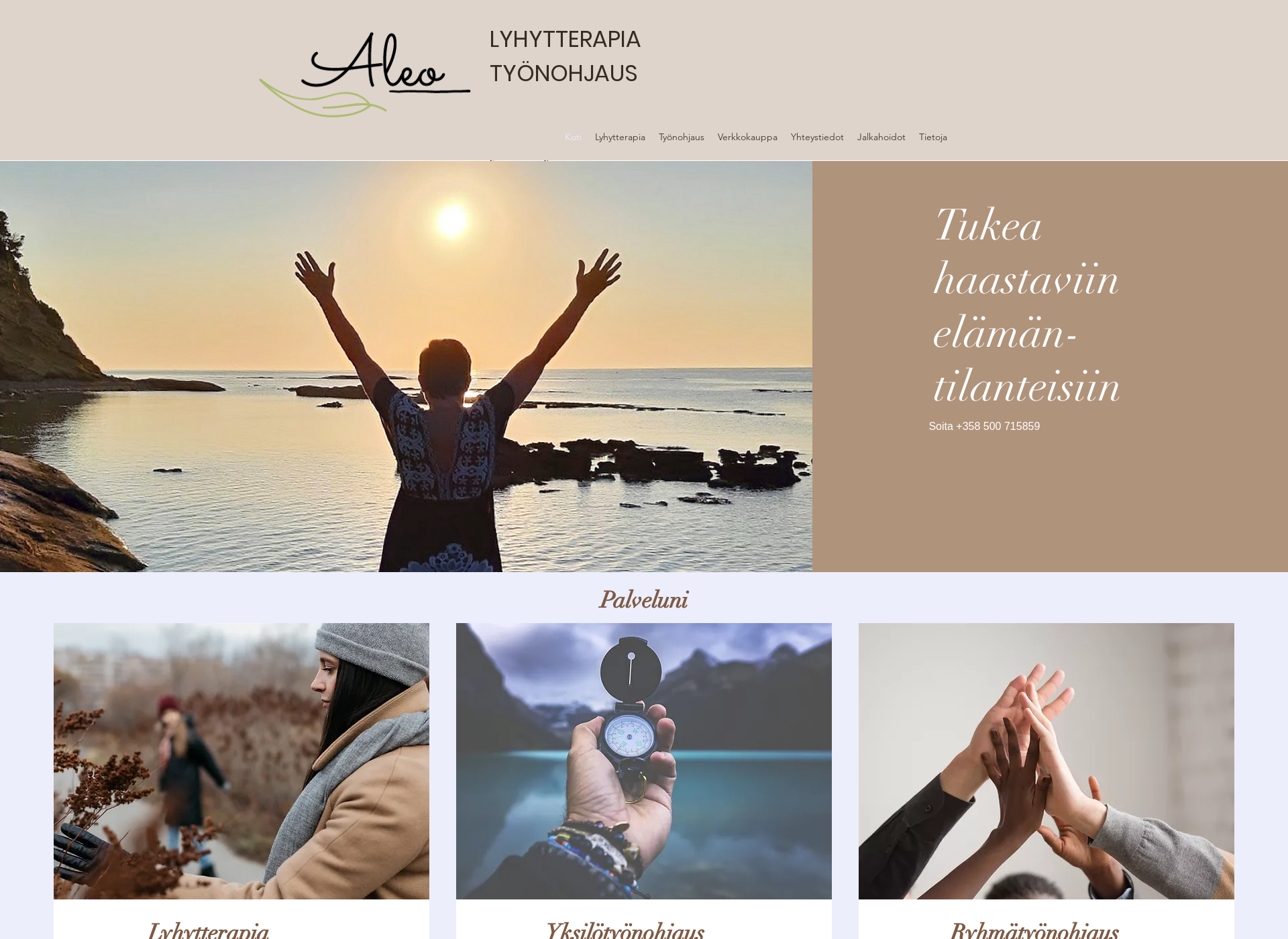 Screenshot for aleoterapia.fi