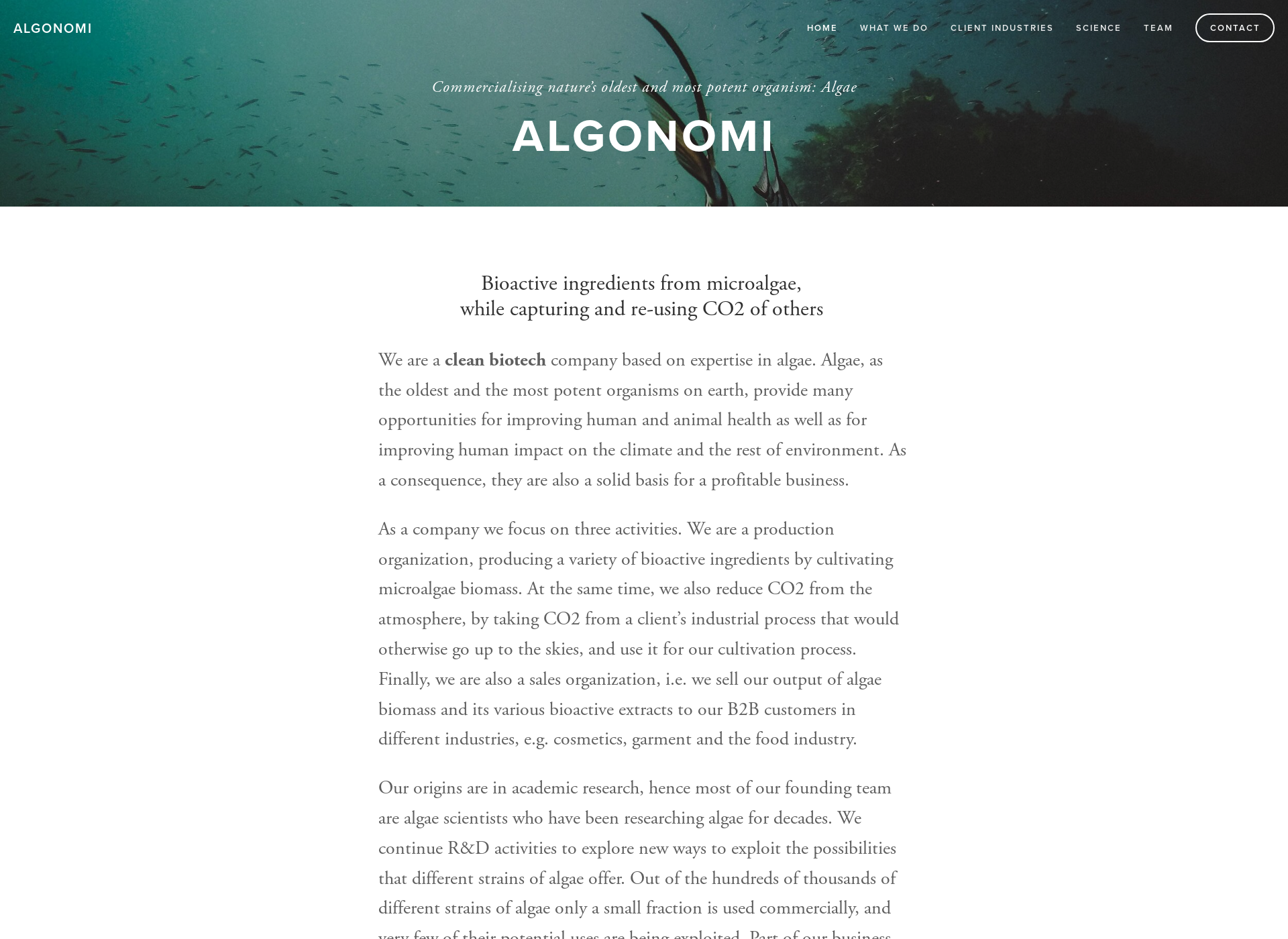 Screenshot for algonomi.fi