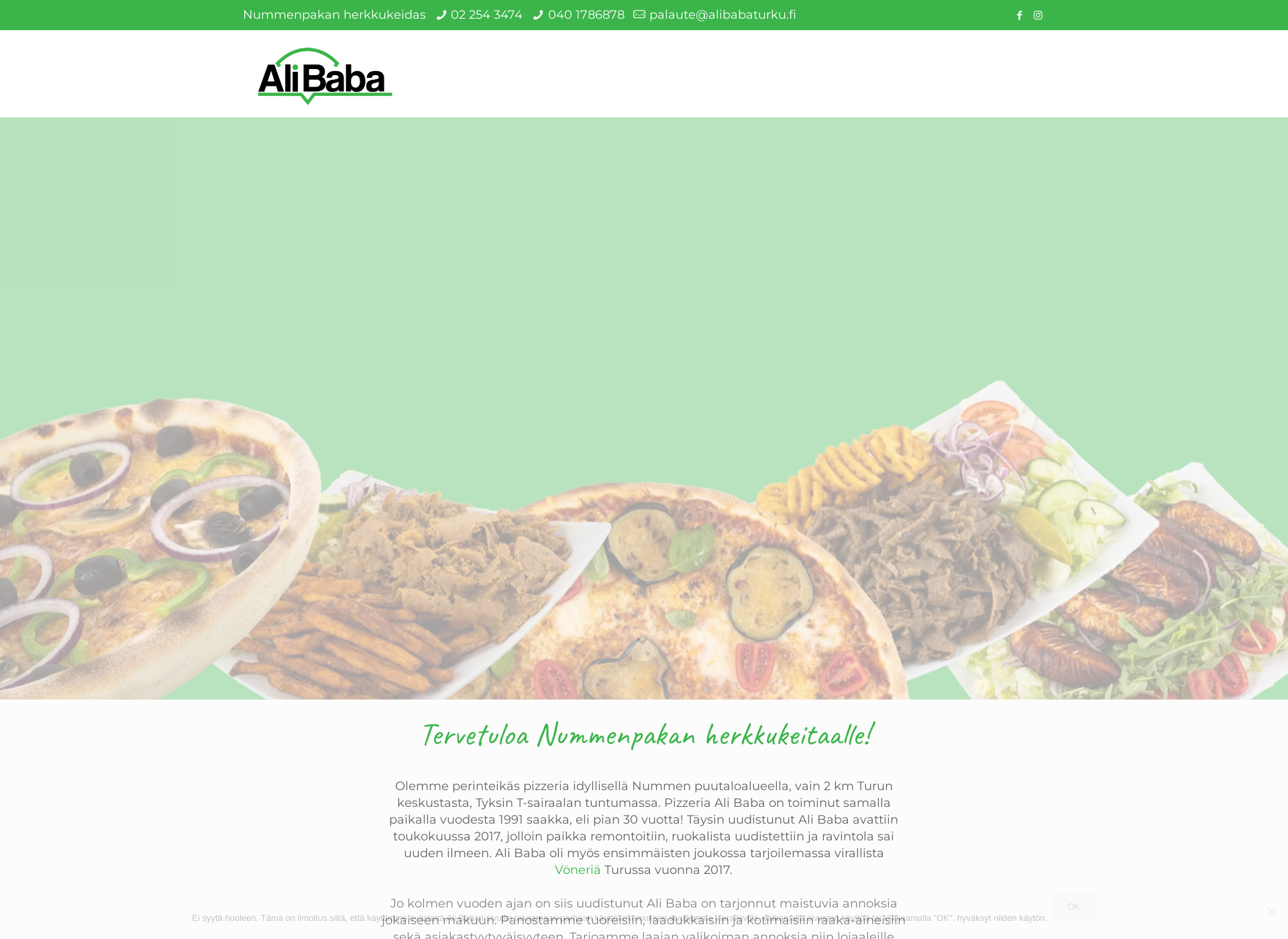 Skärmdump för alibabaturku.fi