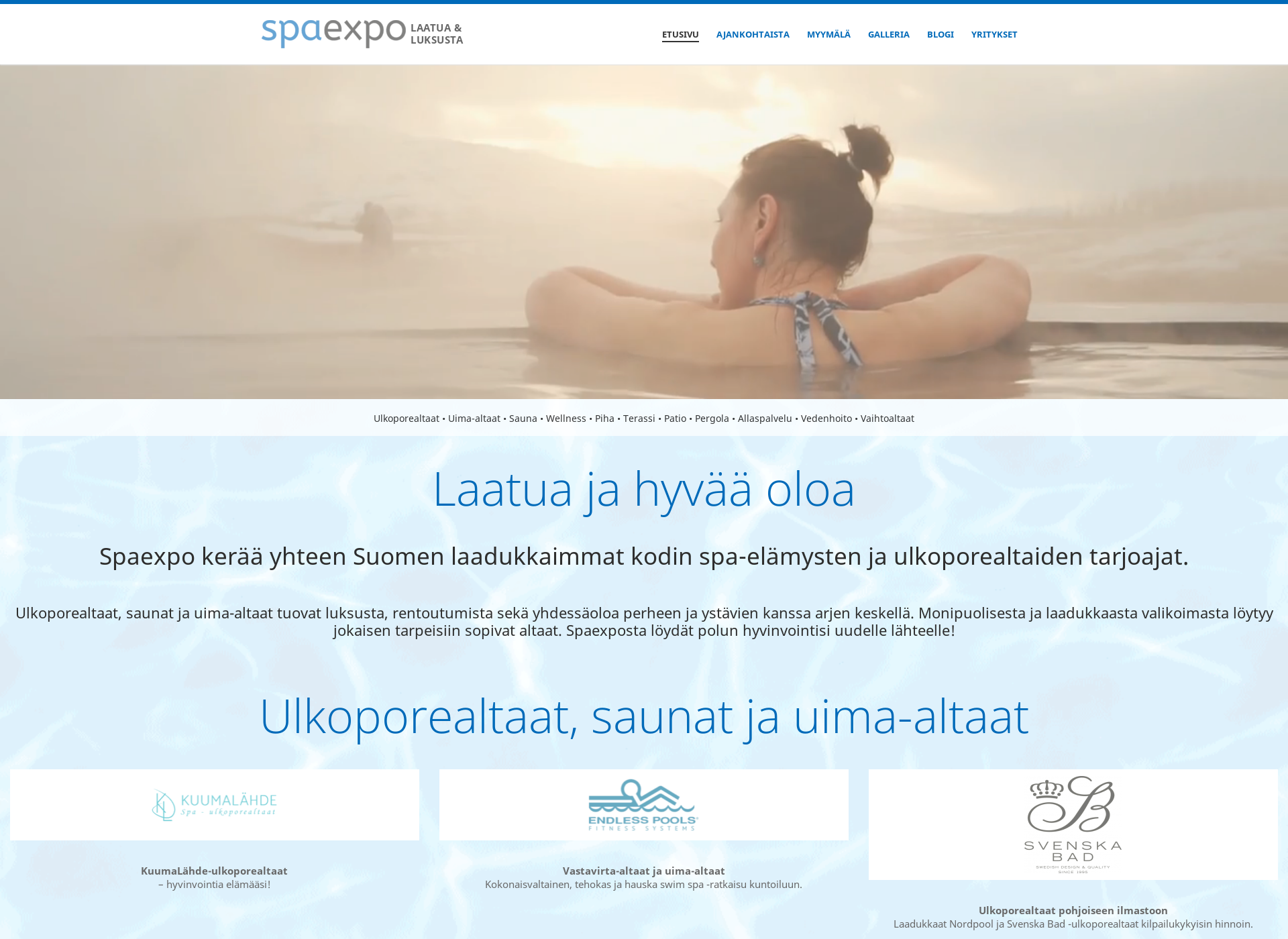 Screenshot for allaspalvelu.fi