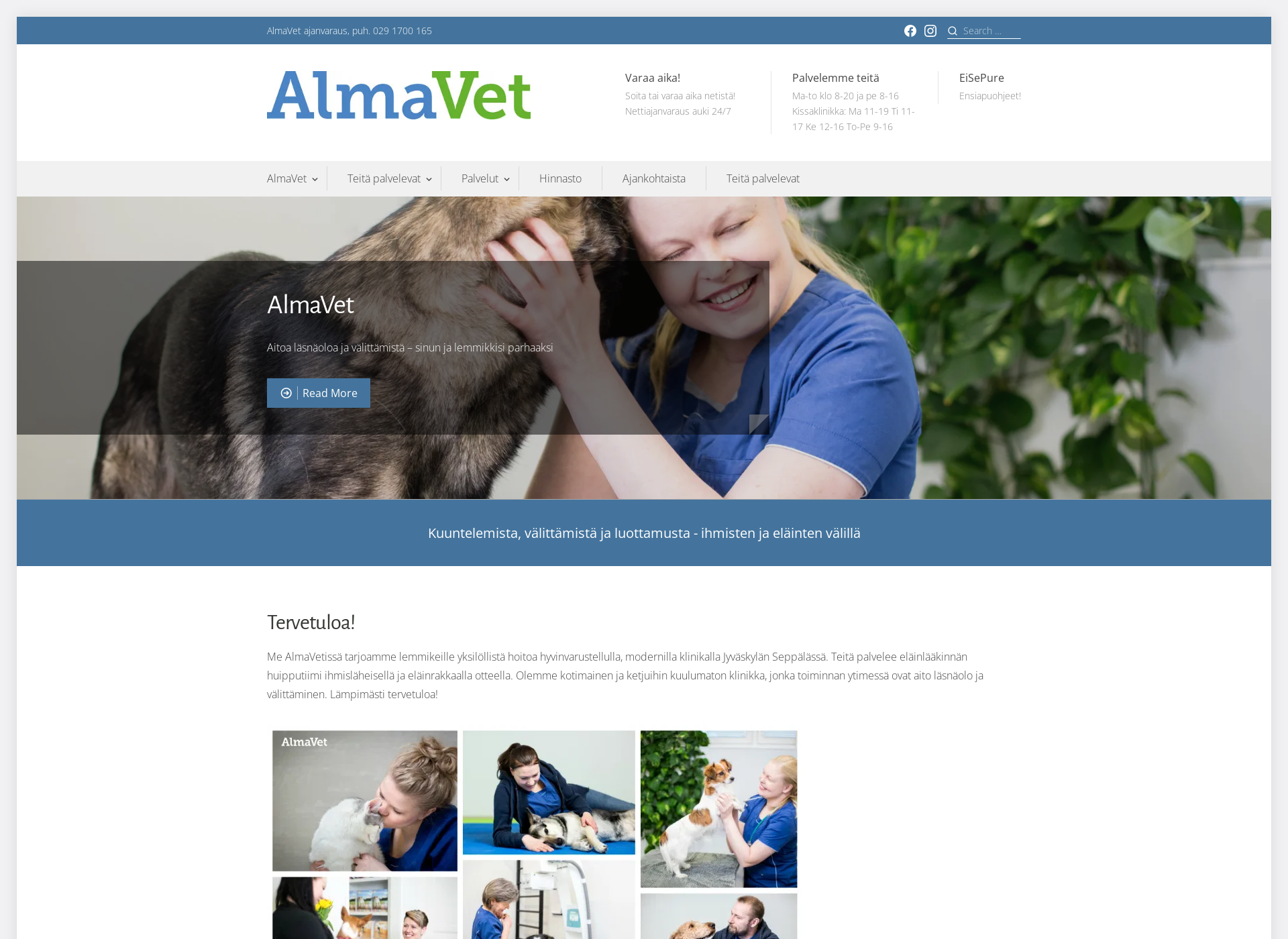 Screenshot for almavet.fi