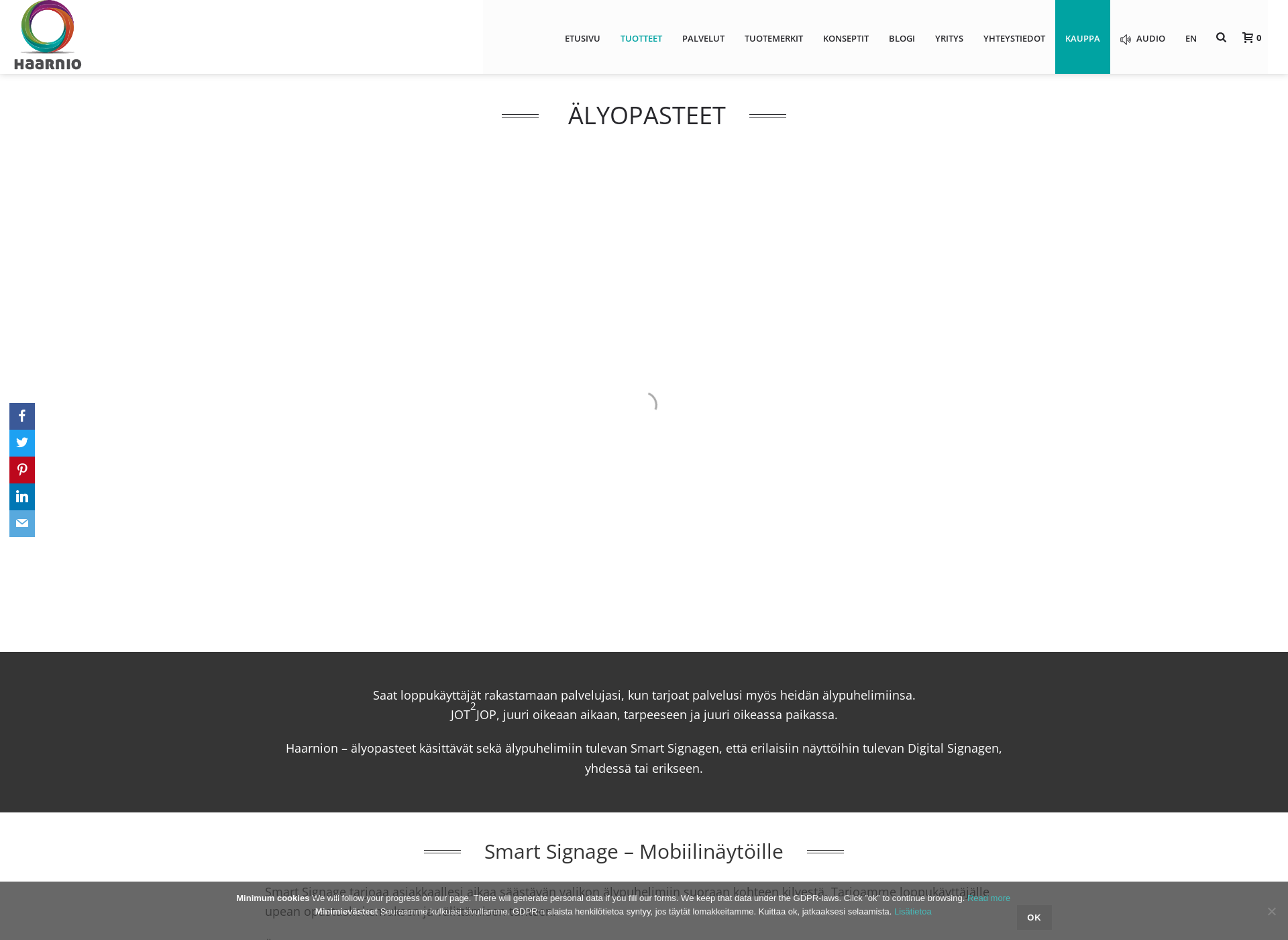 Skärmdump för alyopasteet.fi