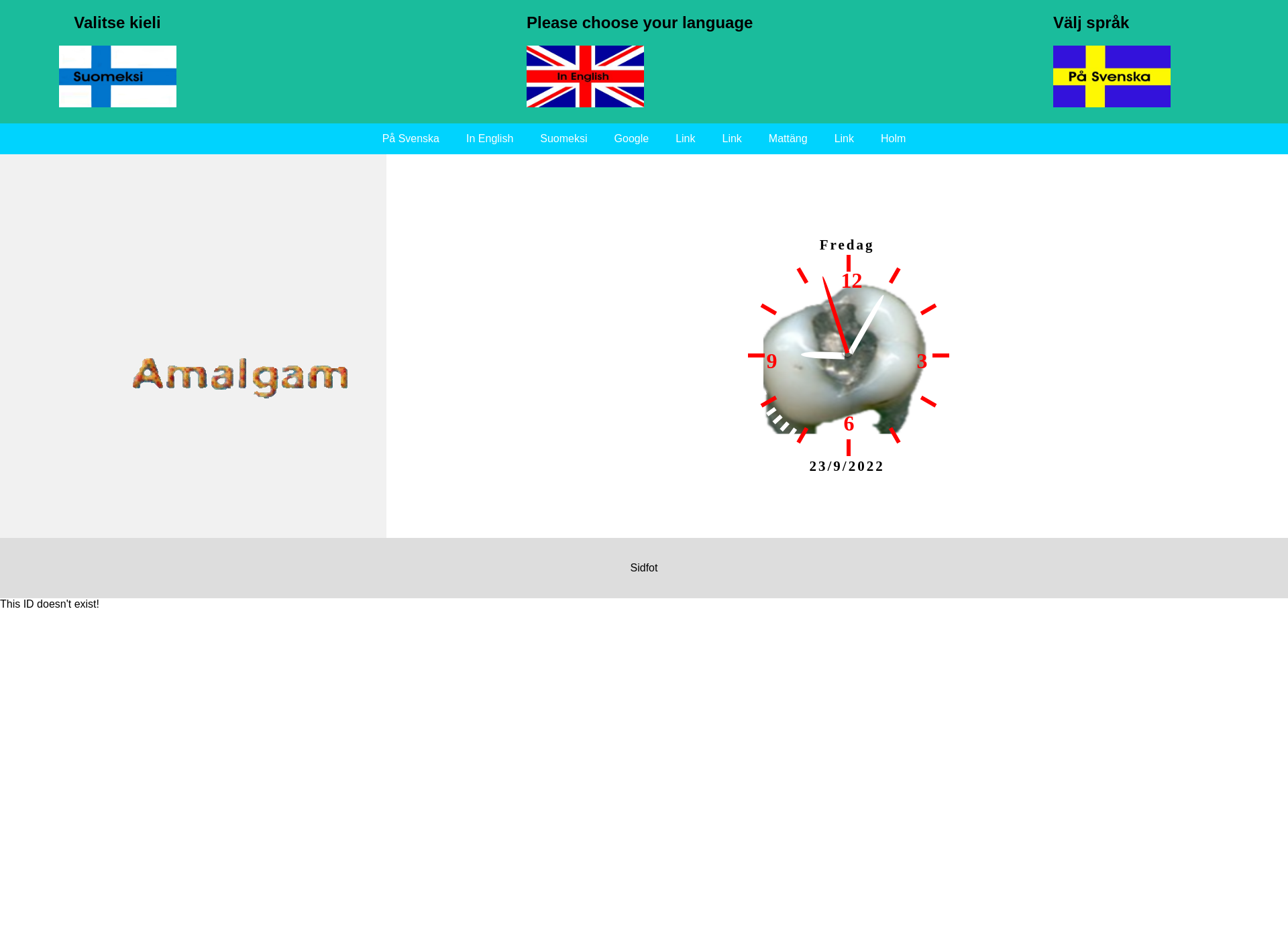 Skärmdump för amalgam.fi