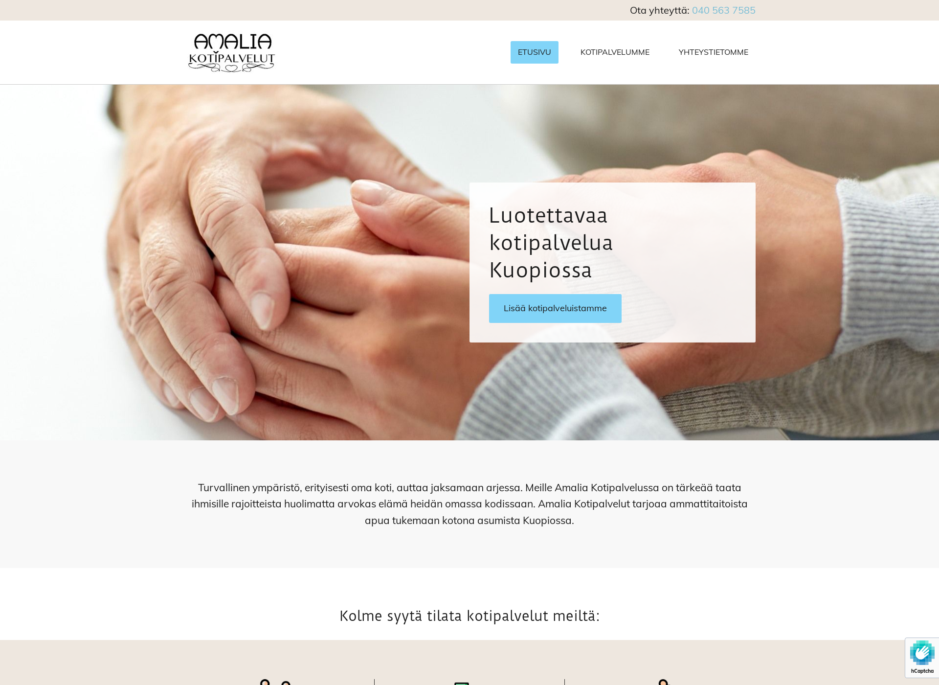 Screenshot for amaliakotipalvelut.fi