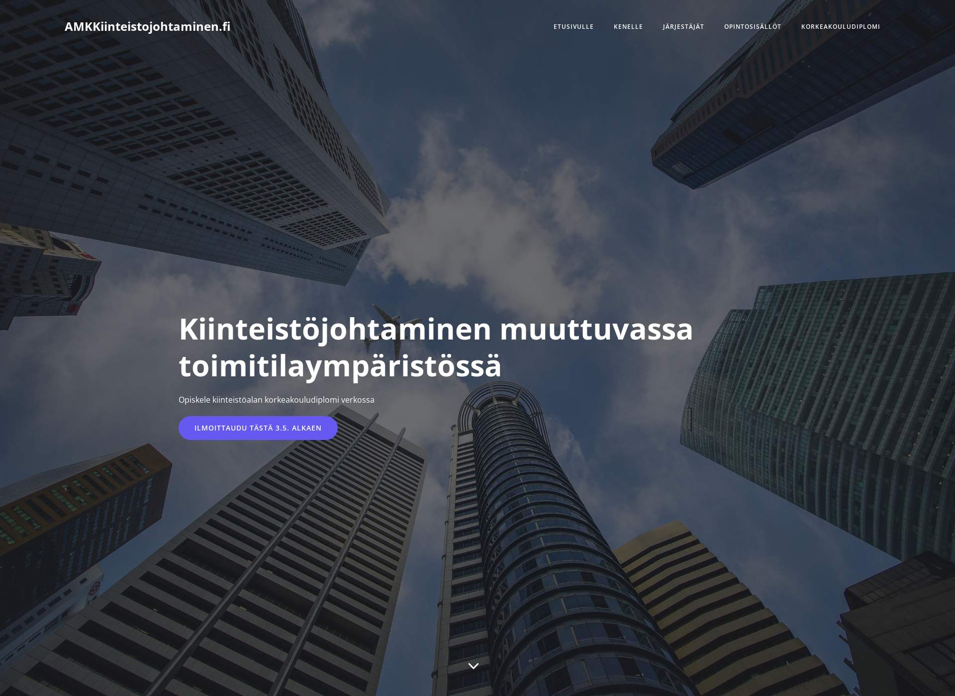 Screenshot for amkkiinteistojohtaminen.fi