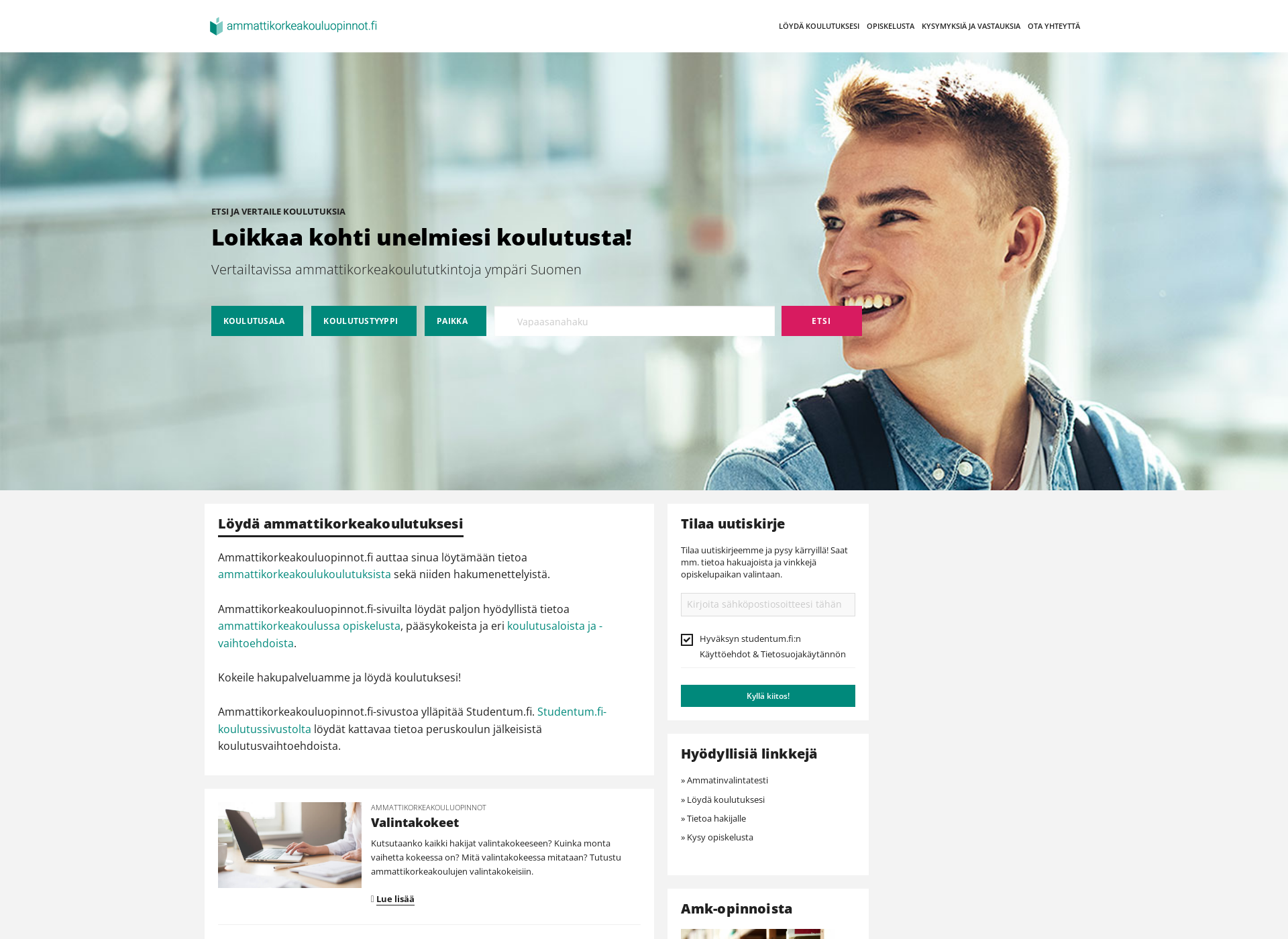 Screenshot for ammattikorkeakouluopinnot.fi