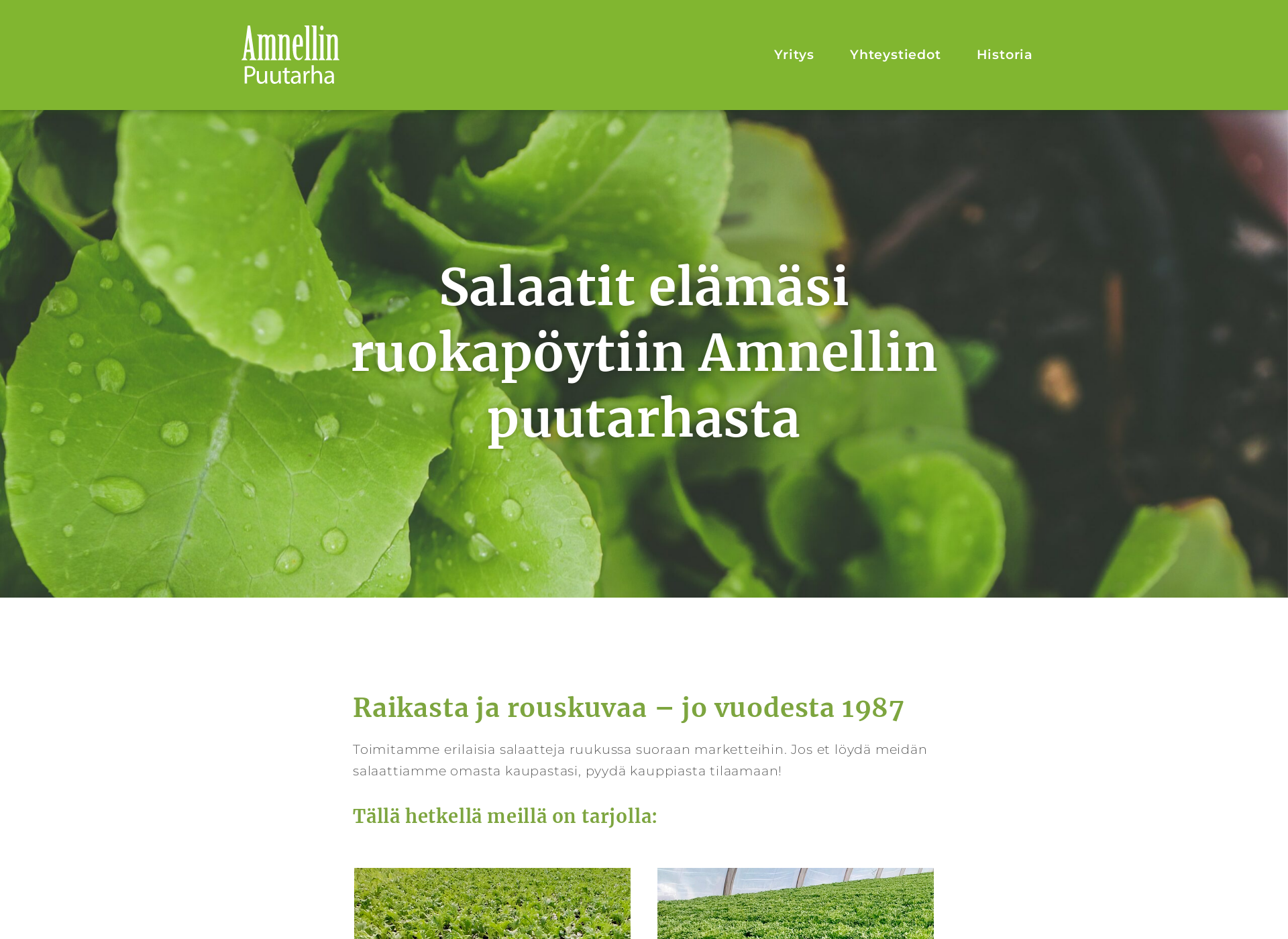 Screenshot for amnellinpuutarha.fi