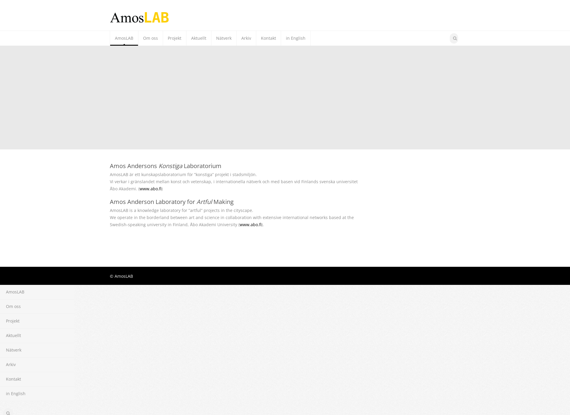 Screenshot for amoslab.fi