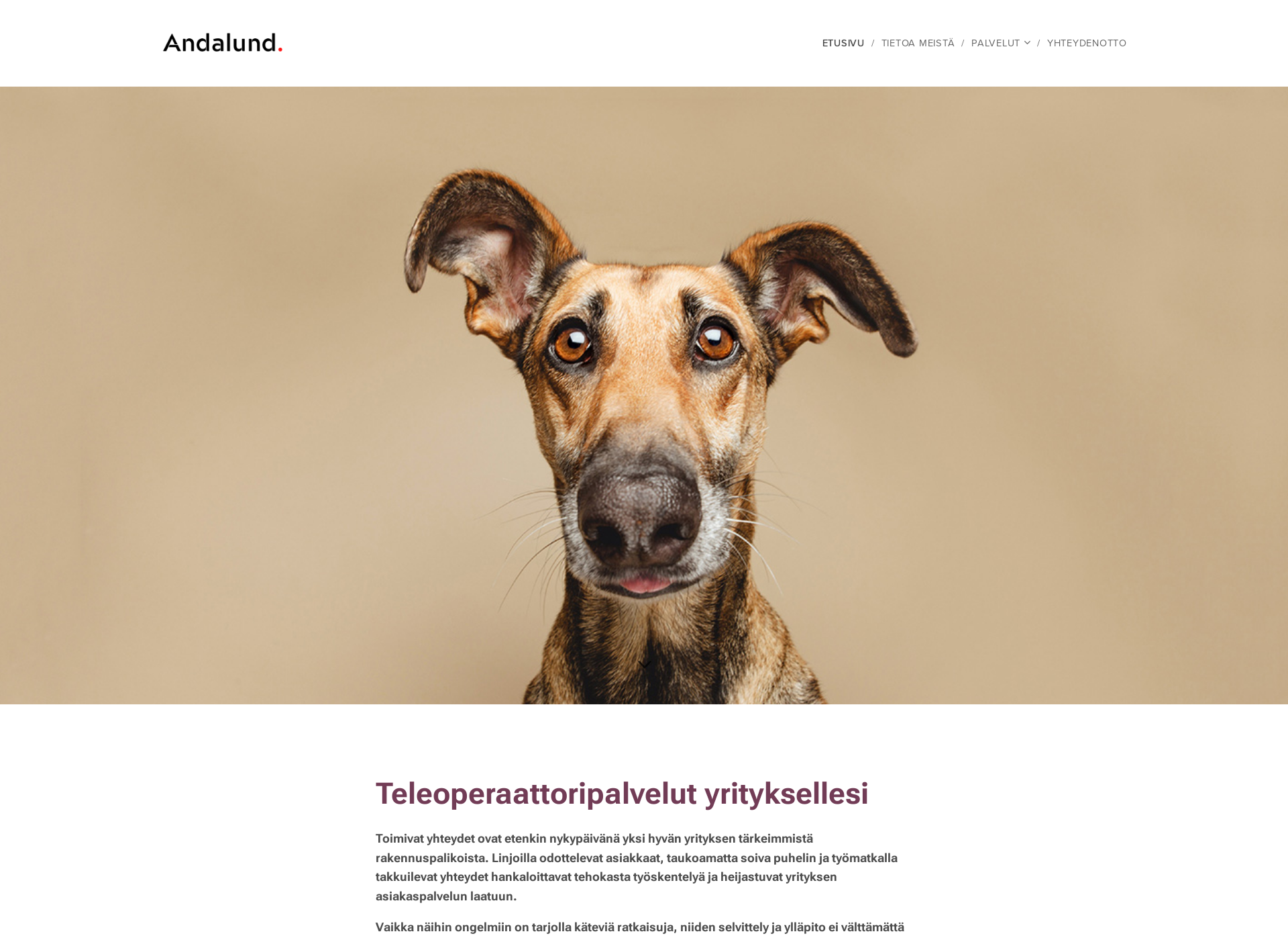 Screenshot for andalund.fi