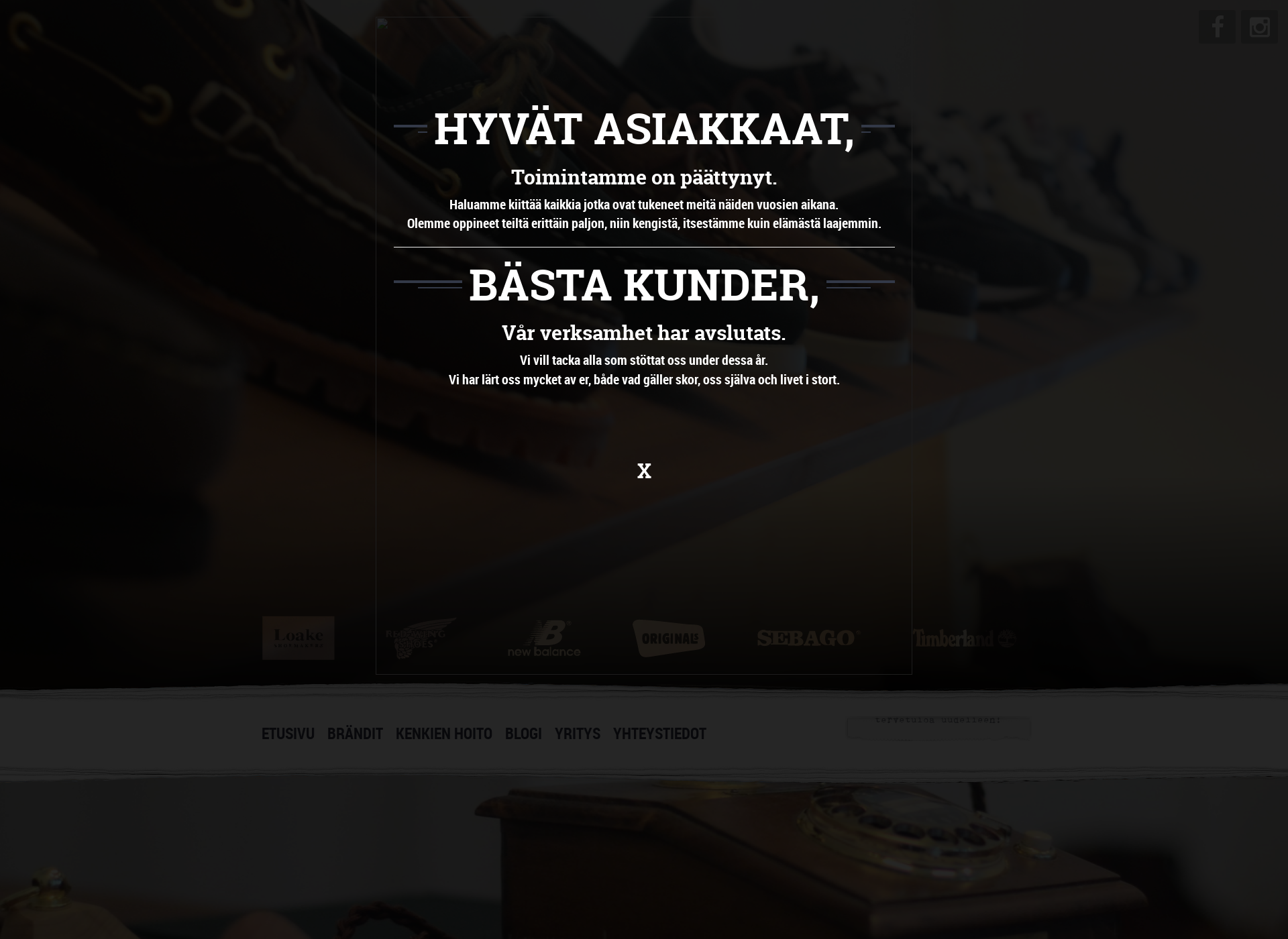 Screenshot for anderssenkurki.fi