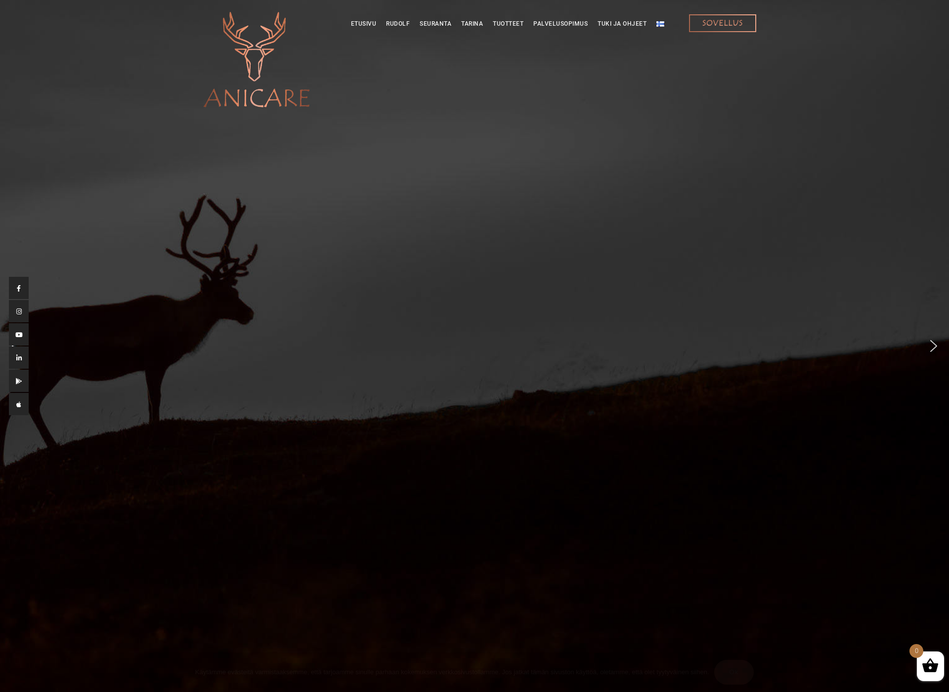 Screenshot for anicare.fi