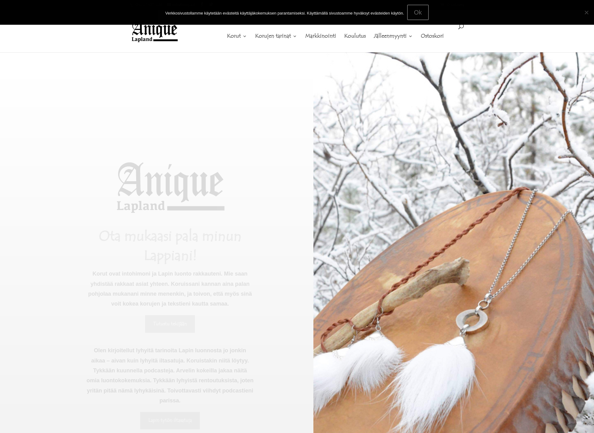 Screenshot for anique.fi