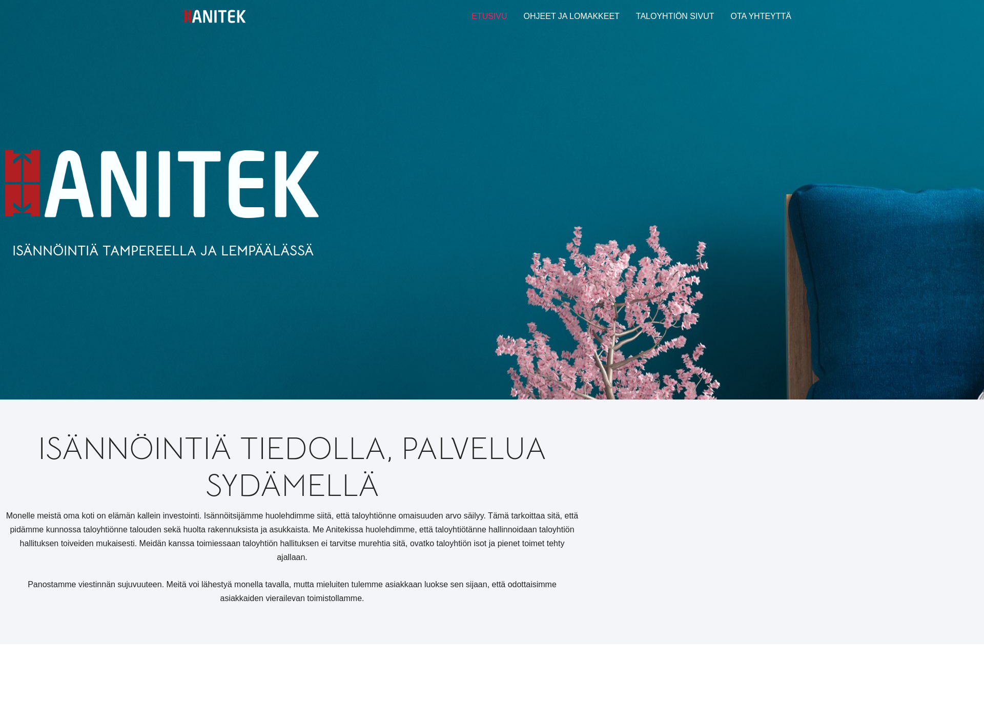 Screenshot for anitek.fi
