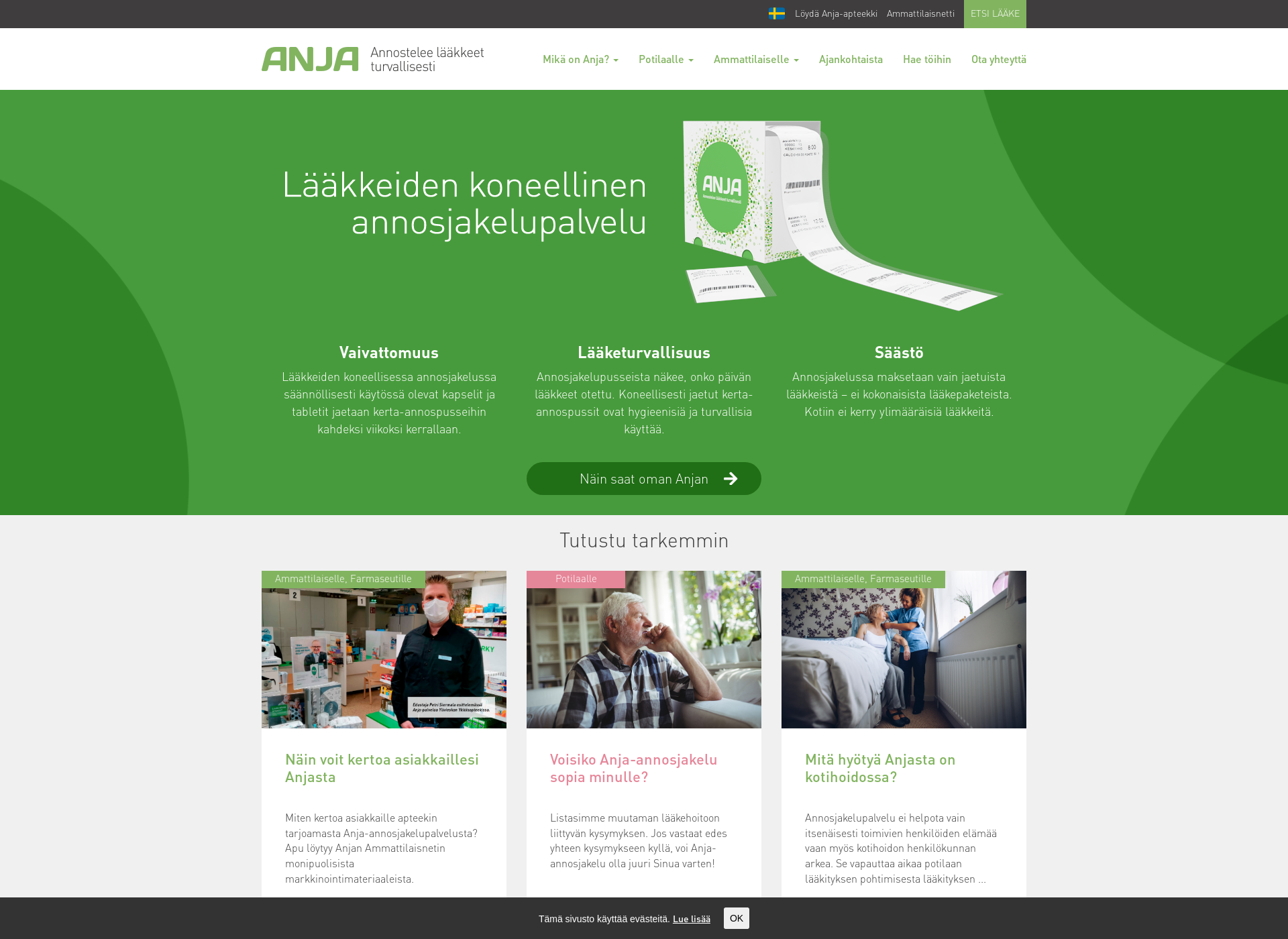 Skärmdump för anja.fi