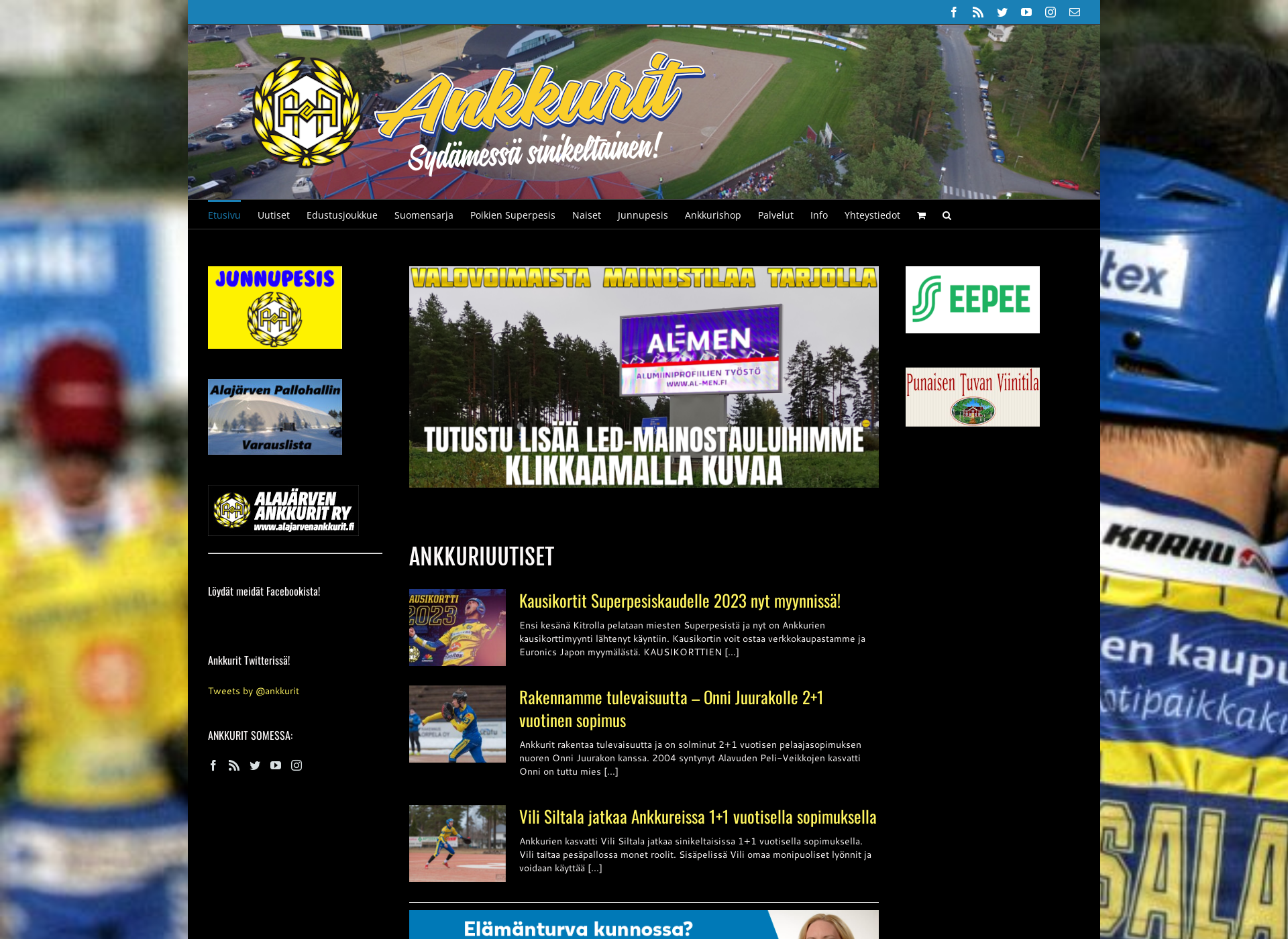 Screenshot for ankkuritpesis.fi