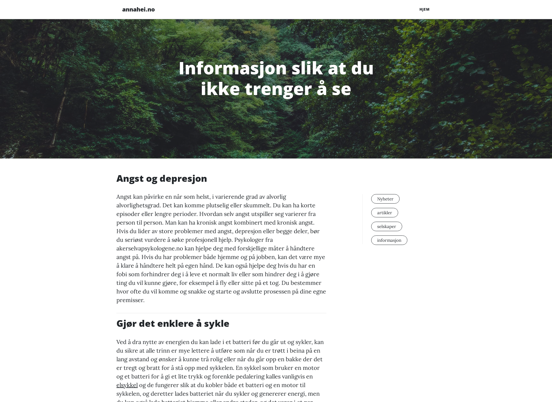 Screenshot for annaheino.fi