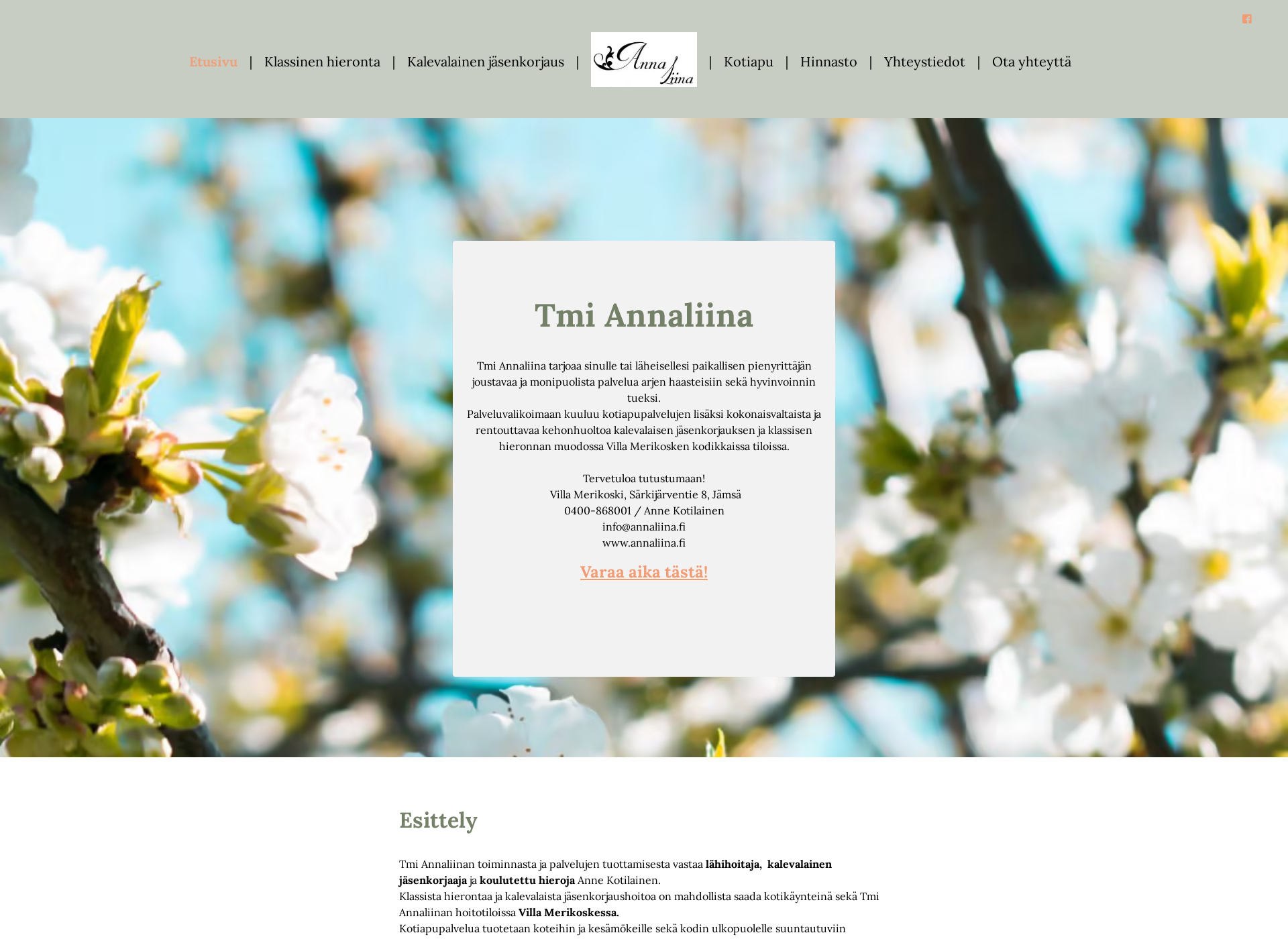 Screenshot for annaliina.fi